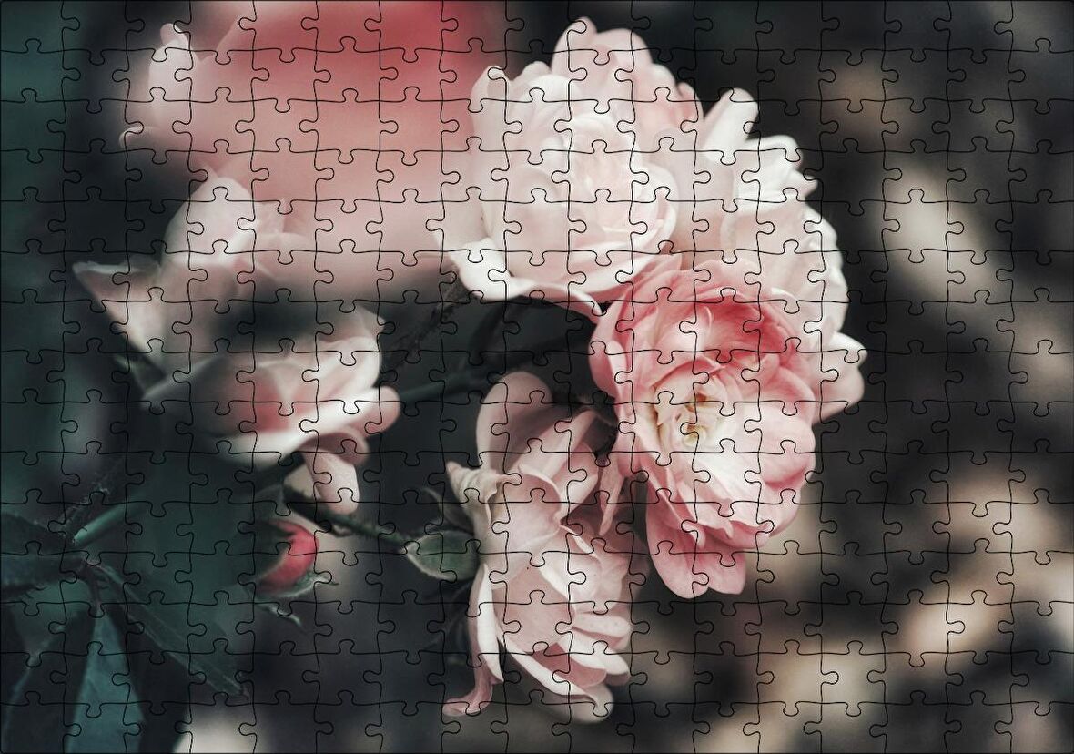 Cakapuzzle Pembe Güller Flu Arkaplan Puzzle Yapboz MDF Ahşap