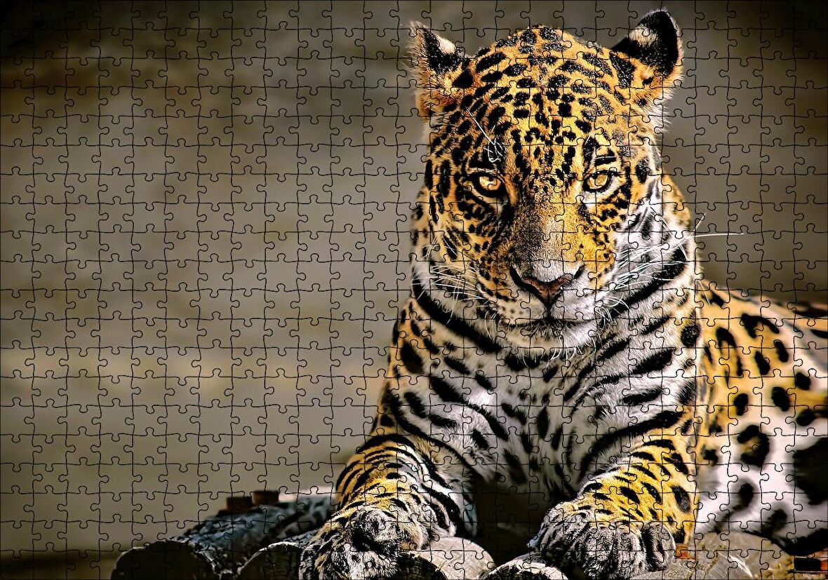 Cakapuzzle Sarı Siyah Beyaz Karışımlı Leopar Görseli Puzzle Yapboz MDF Ahşap