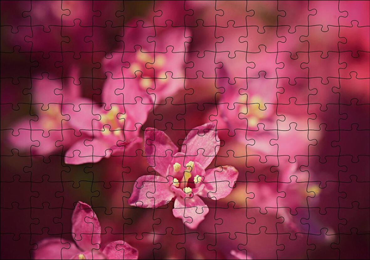 Cakapuzzle Sarı Tohumlu Kırmızı Çiçekler Yakın Çekim Puzzle Yapboz MDF Ahşap