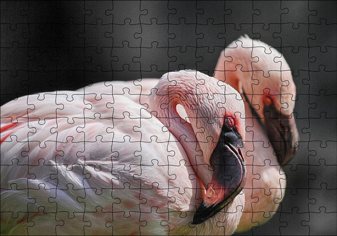 Cakapuzzle Uyuklayan Bir Çift Flamingo Puzzle Yapboz MDF Ahşap