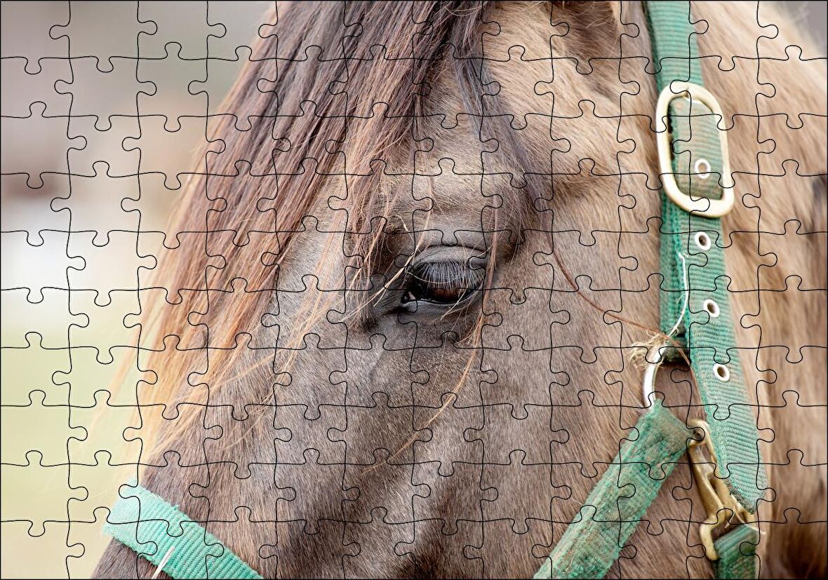 Cakapuzzle Yeşil Koşumlu Kahverengi At Yakın Çekim Puzzle Yapboz MDF Ahşap