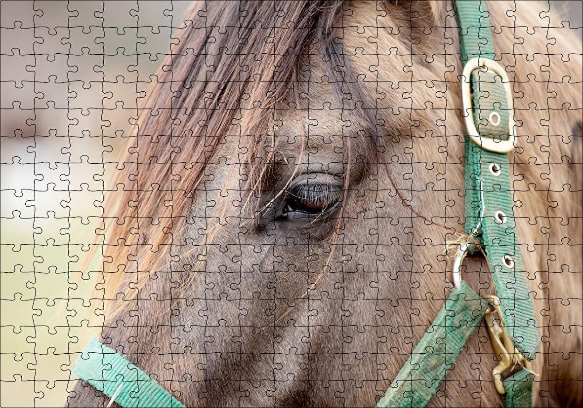 Cakapuzzle Yeşil Koşumlu Kahverengi At Yakın Çekim Puzzle Yapboz MDF Ahşap
