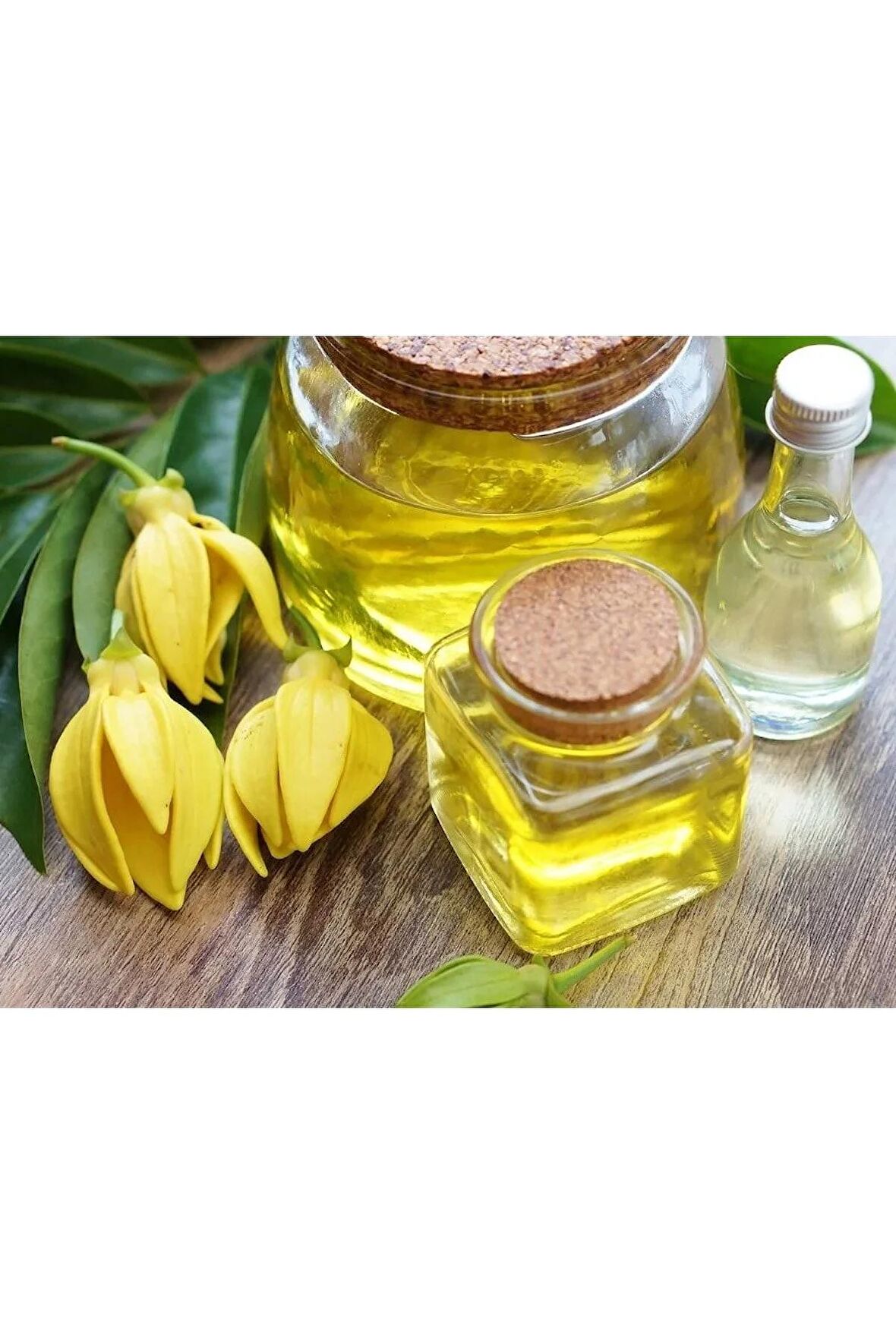 Ylang Ylang Yağı 50 ml