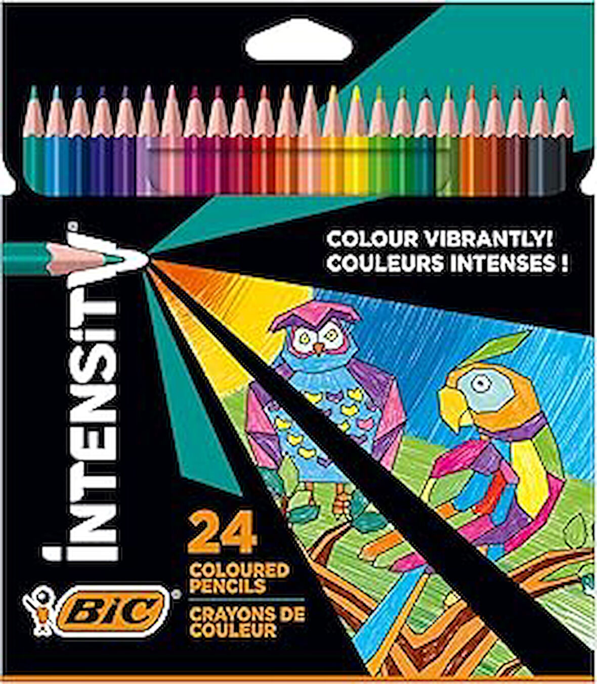 BIC Color Up Üçgen Kuru Boya Kalemi, 24'lü Kutu