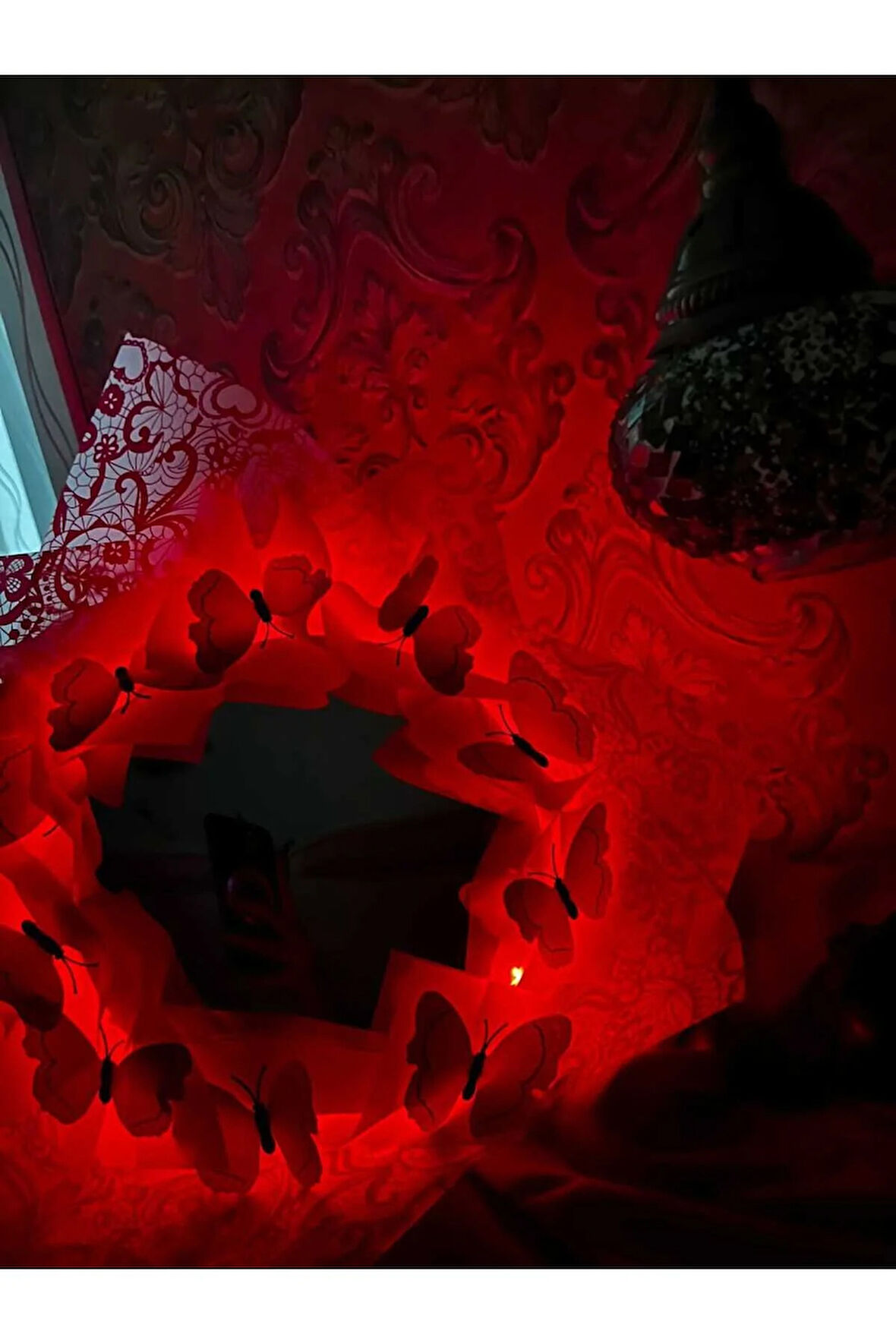 kırmızı kelebek buketi