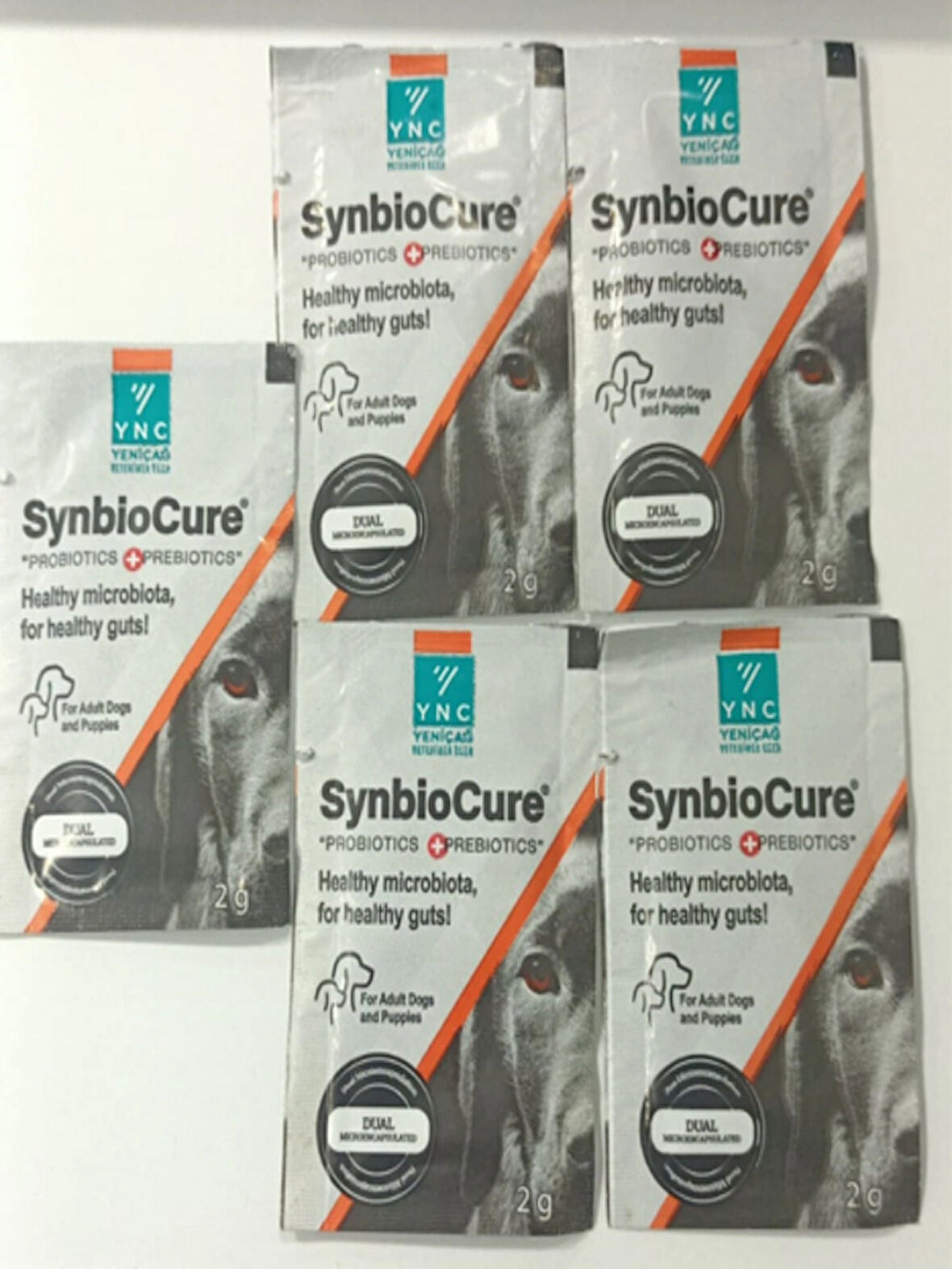 YNC SynbioCure Köpek Prebiyotik+Probiyotik 5 Şase