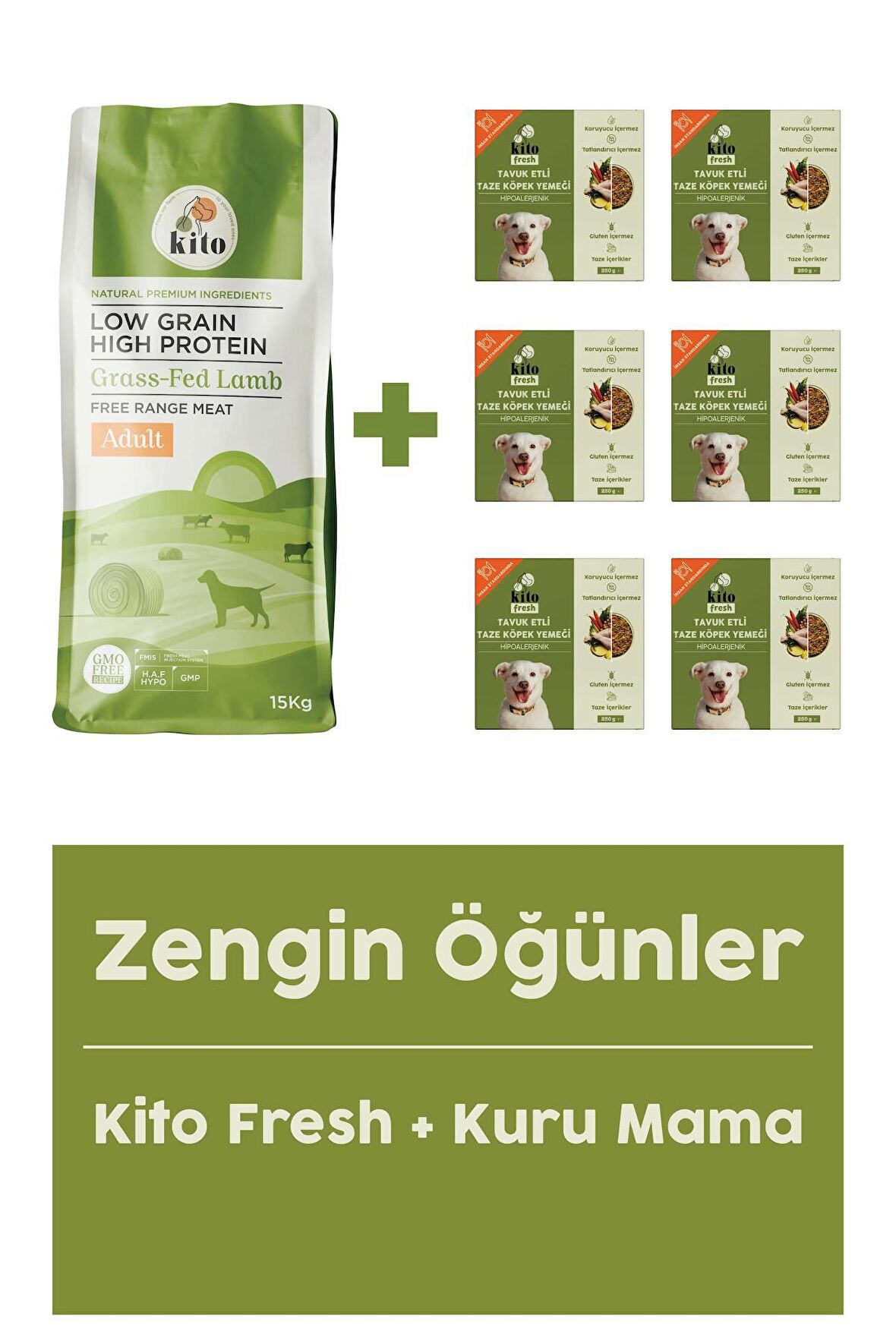 Yetişkin Köpek Maması 15 Kg + Tavuk Etli Fresh X 6