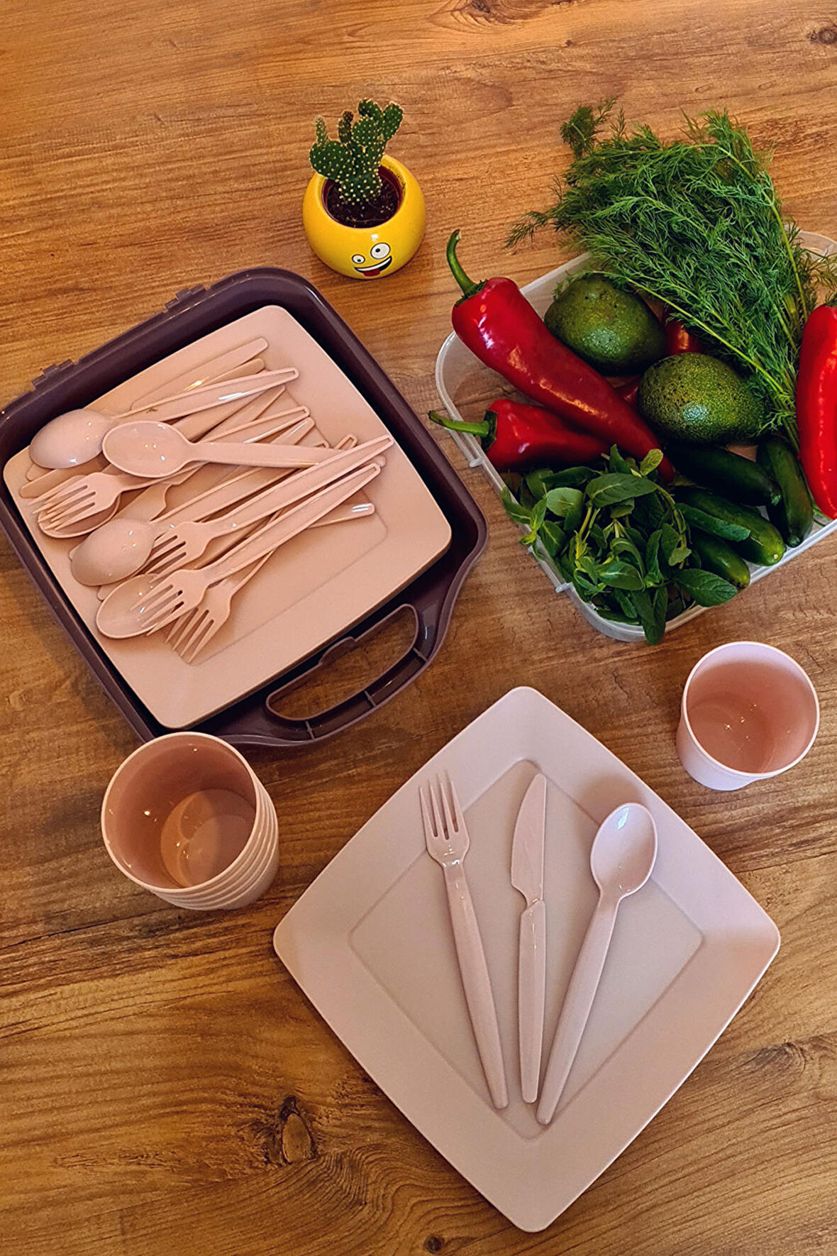 6 Kişilik Kamp Yemek Servis Seti ve Masa Örtüsü Rulosu Tek Kullanımlık 1x1,5m Kullan At