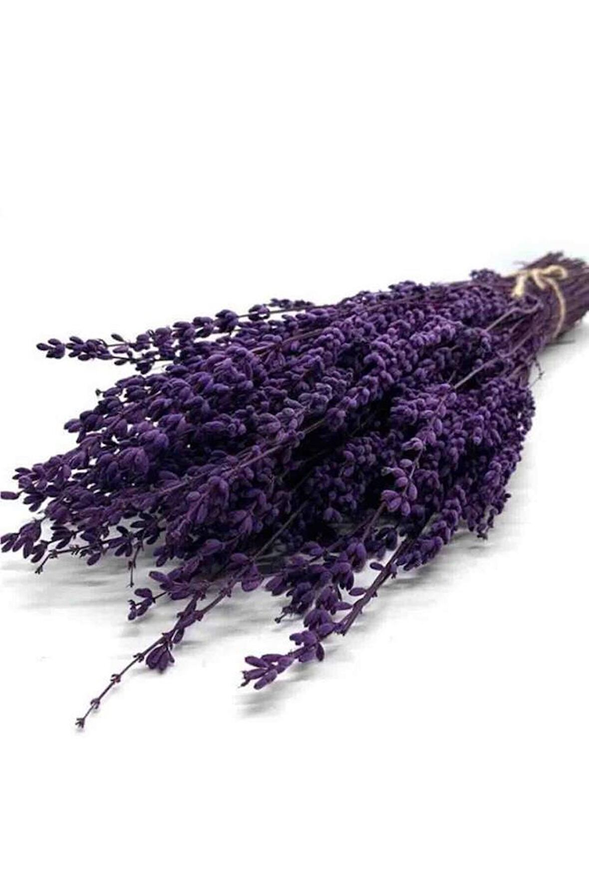 Şoklanmış Doğal Lavanta Demeti Natural Lavender Bundle 40-50 Cm