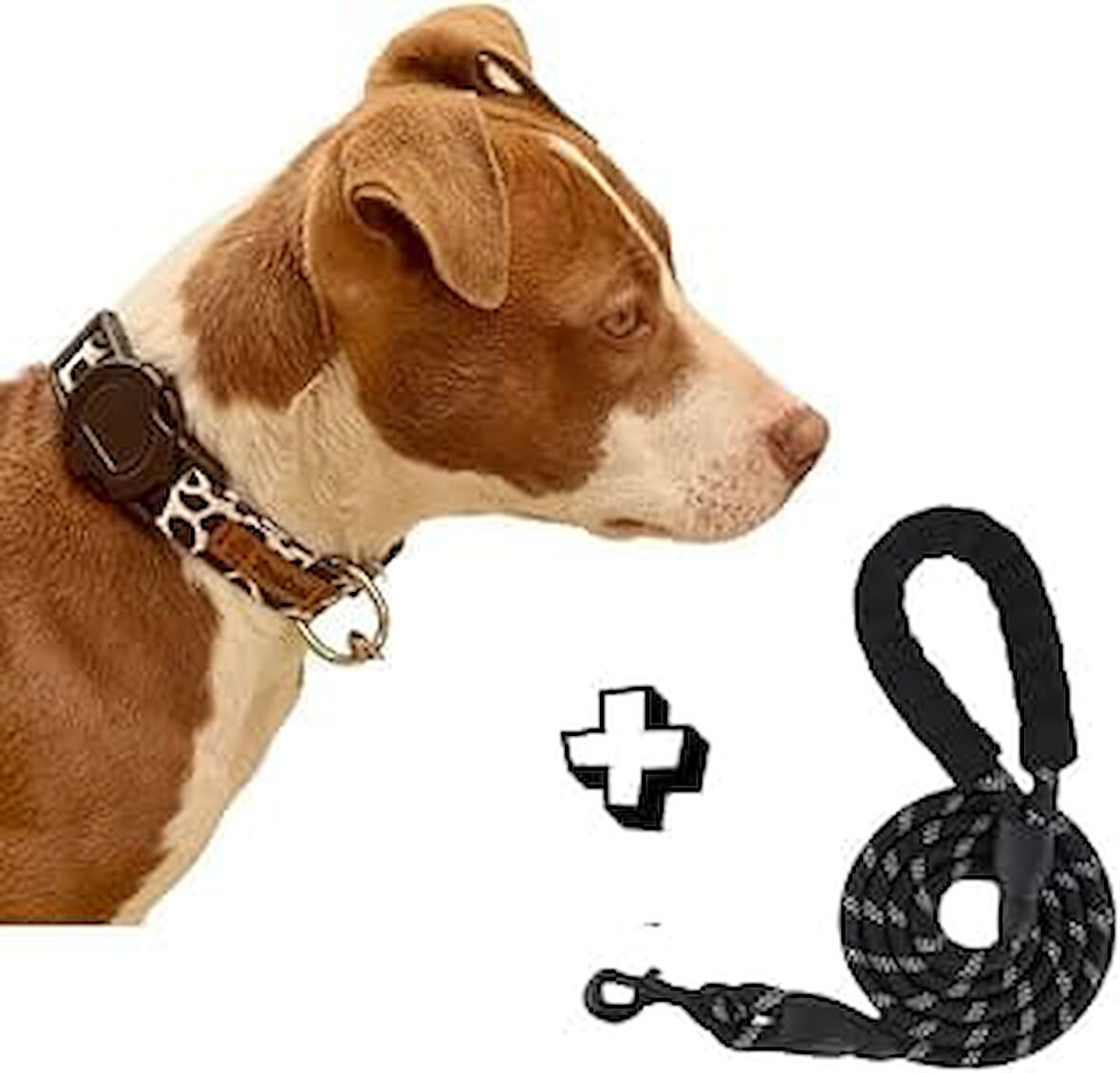 Tosbai̇ Köpek Boyun Tasmasi 45-65 Cm Xl Beden, Recycled Baskili Kopmaz Tasma & Tosbai Kopek Gezdirme