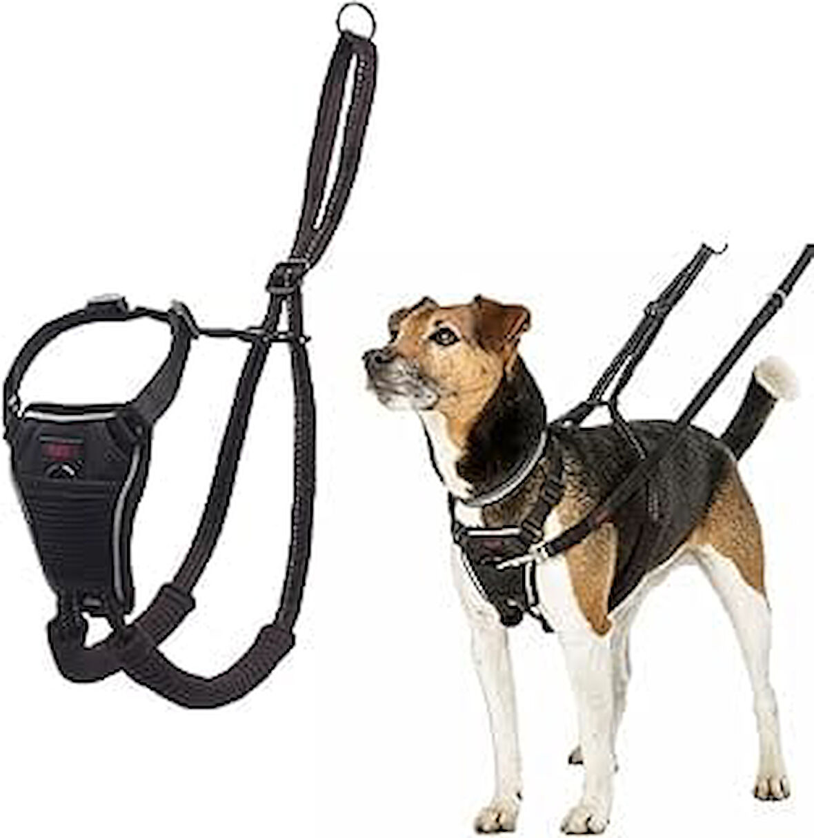 Company Of Animals Halti Köpek Çekme Önleyici Göğüs Tasması, Küçük Boy