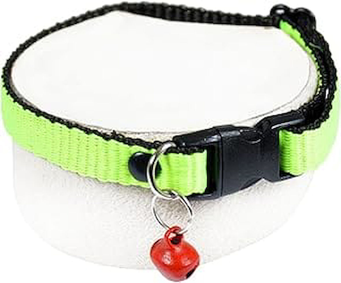 Neon Zilli Tasması Fıstık Yeşili Boyun Tasma Ayarlı