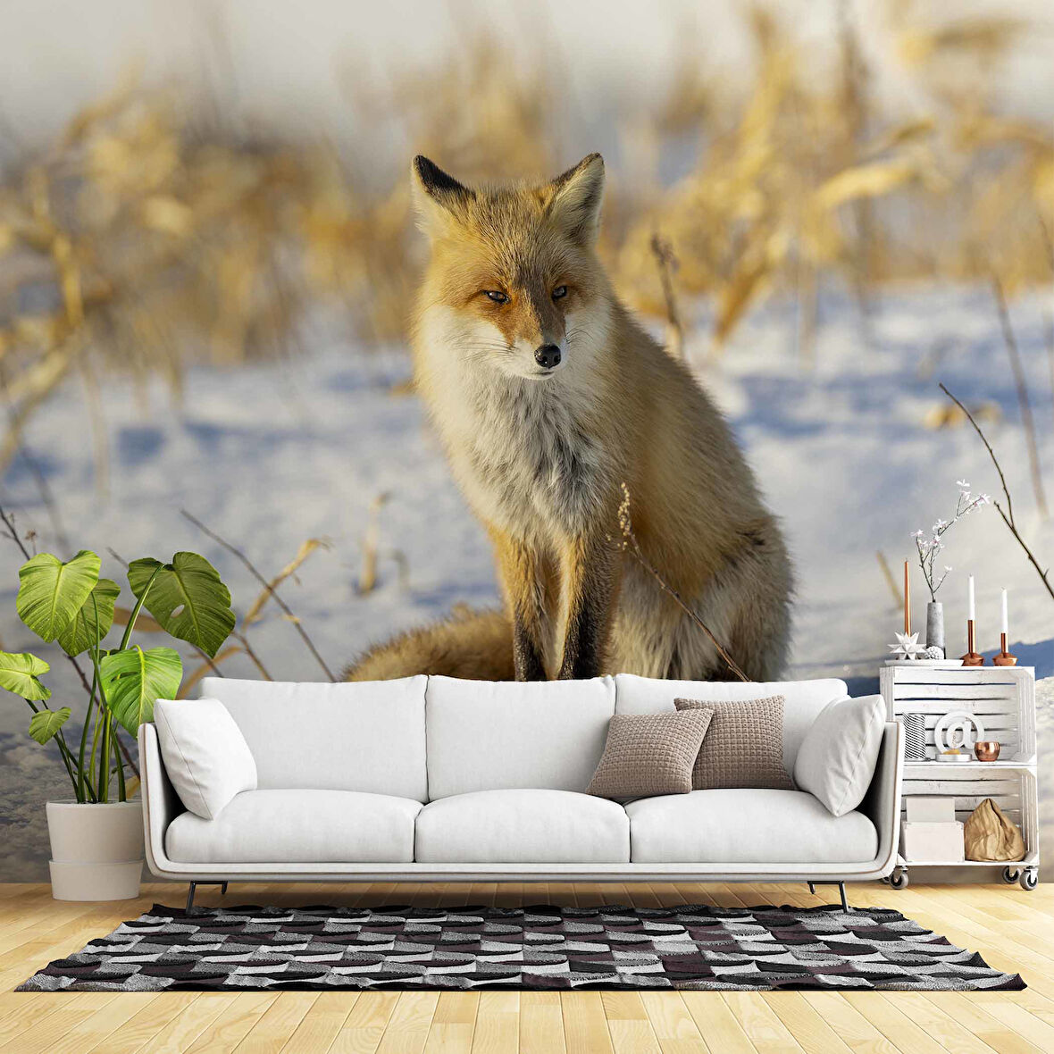 Kar Üzerinde Tilki Manzaralı Duvar Kağıdı