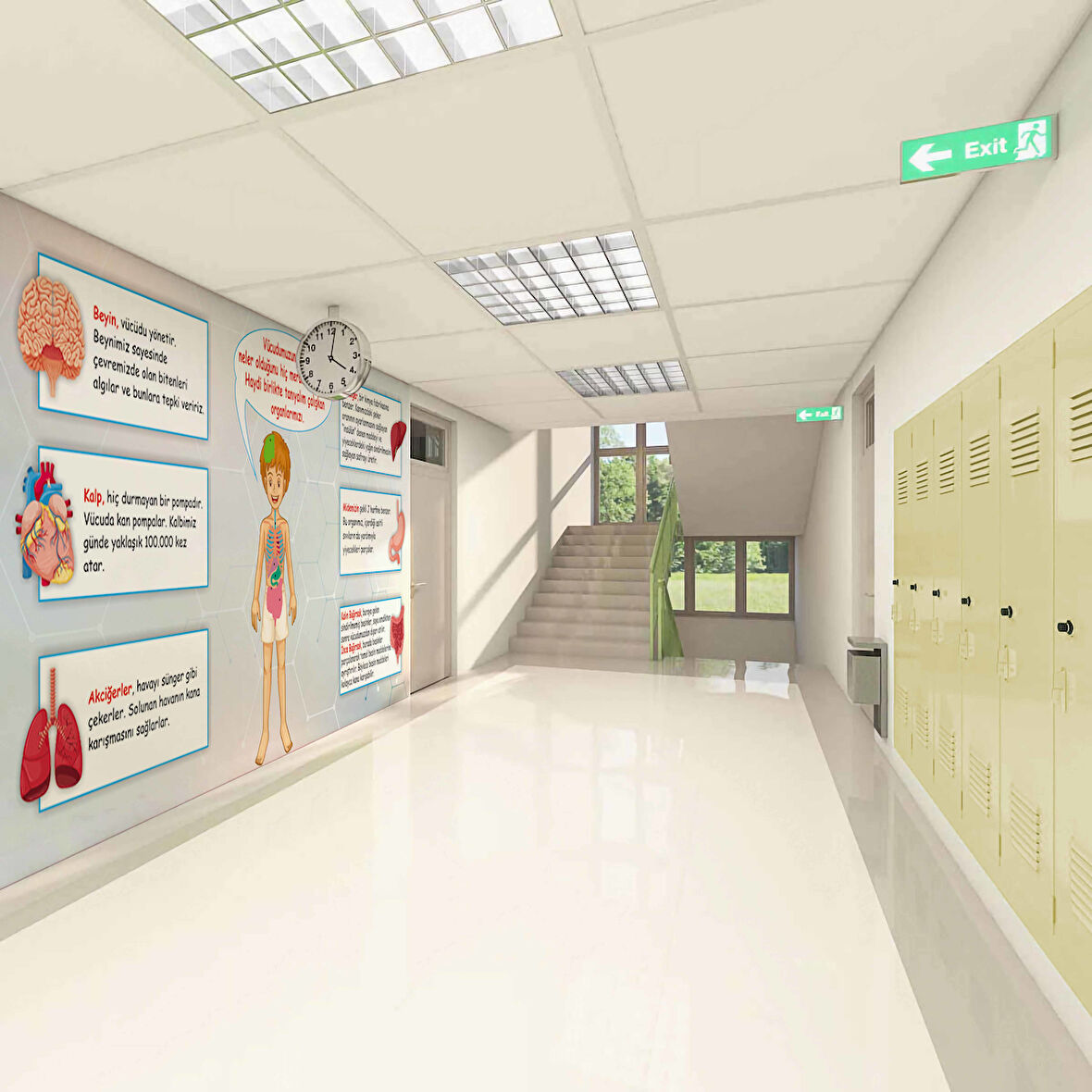 İç Organlarımız Okul Duvar Kağıdı Baskı