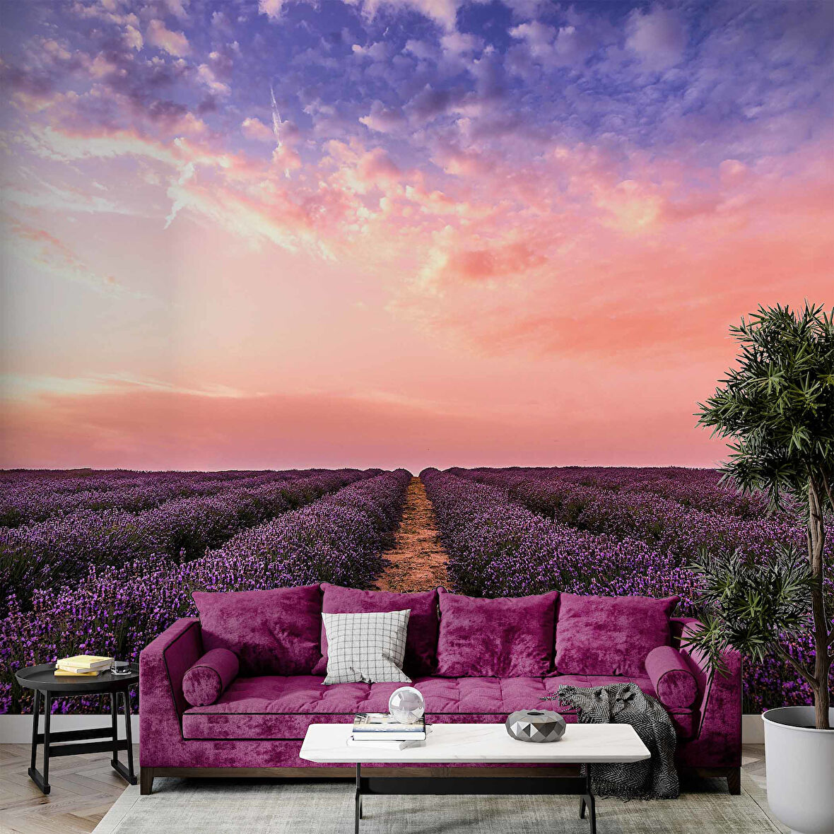 Lavanta Bahçesi Duvar Kağıdı