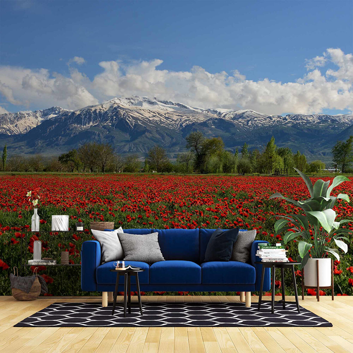 Erzincan Gelincik Manzaralı Duvar Kağıdı