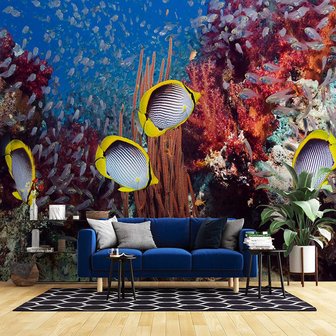 Akvaryum ve Deniz Manzaralı Duvar Kağıdı