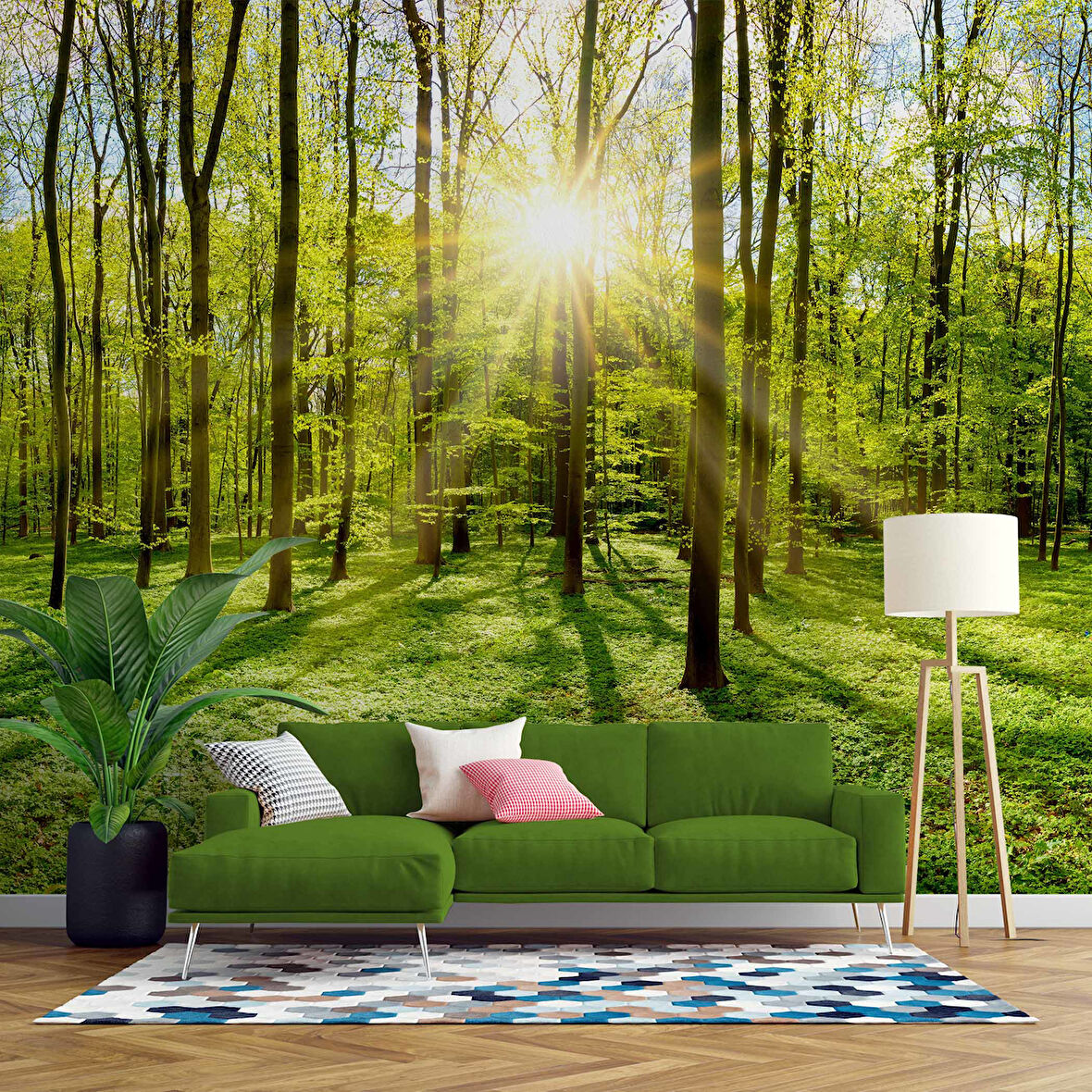 Doğa, Orman ve Ağaç Duvar Kağıdı