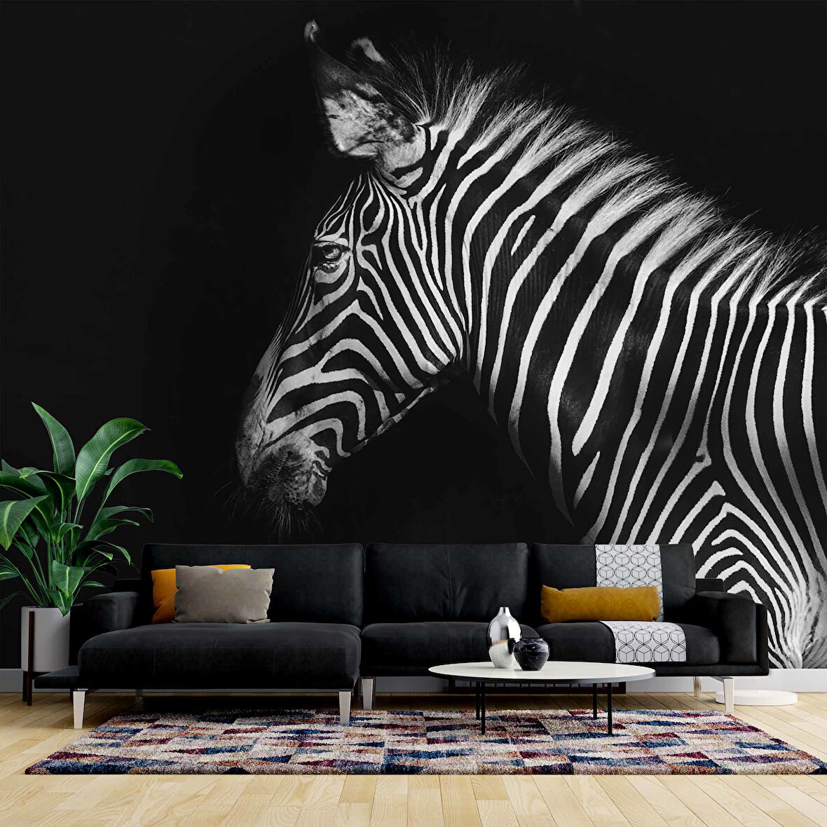 Zebra Temalı Duvar Kağıdı Baskı