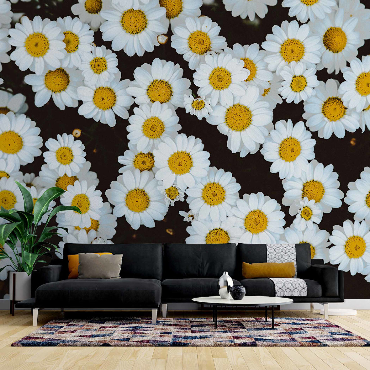 Papatya Temalı Duvar Kağıdı Baskı