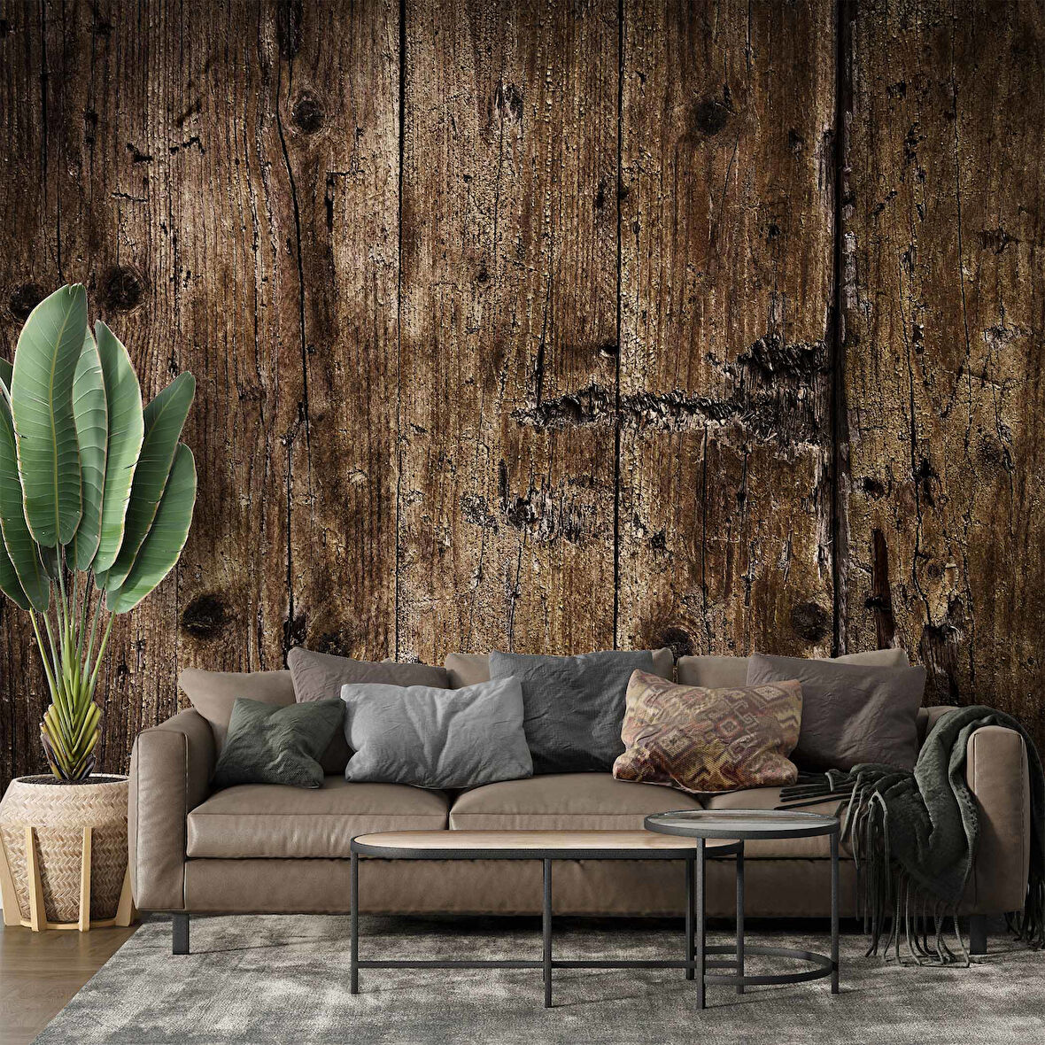 Eskitilmiş Ağaç Temalı Duvar Kağıdı Baskı