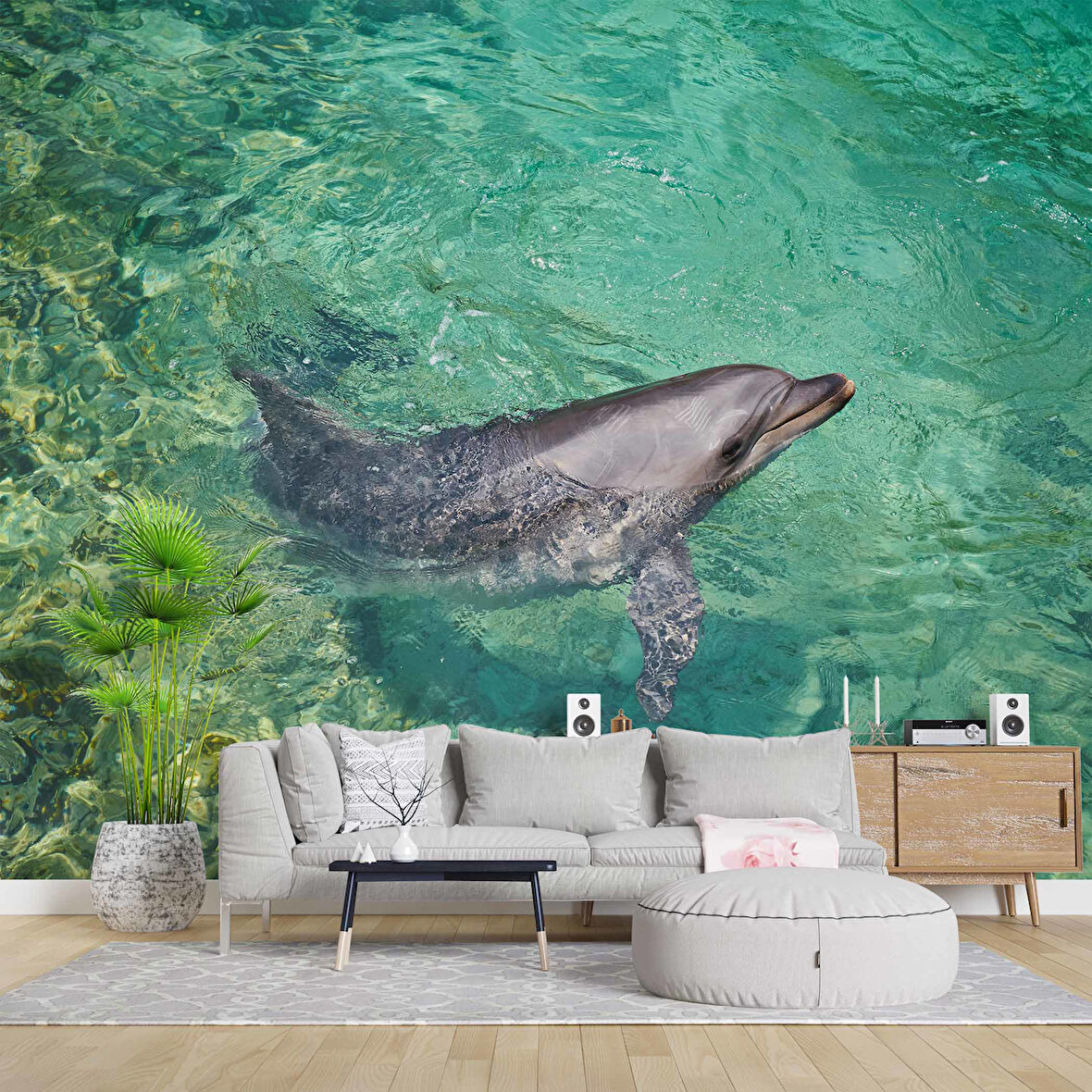Deniz ve Yunus Balığı Temalı Duvar Kağıdı
