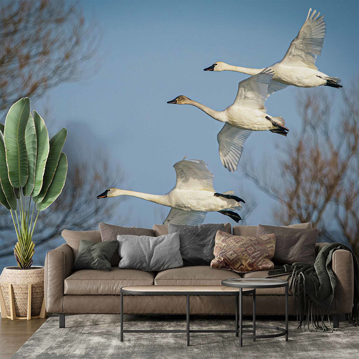 Leylek Göç Manzaralı Duvar Kağıdı
