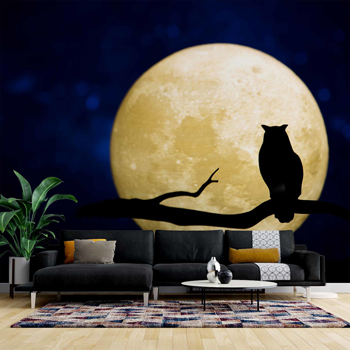 Gece Ay ve Baykuş Manzaralı Duvar Kağıdı