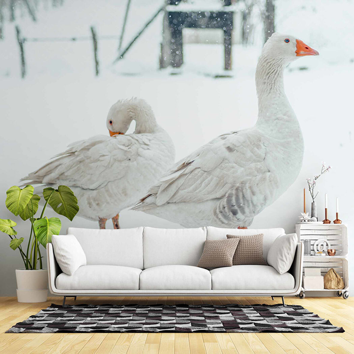 Kar ve Kaz Manzaralı Duvar Kağıdı