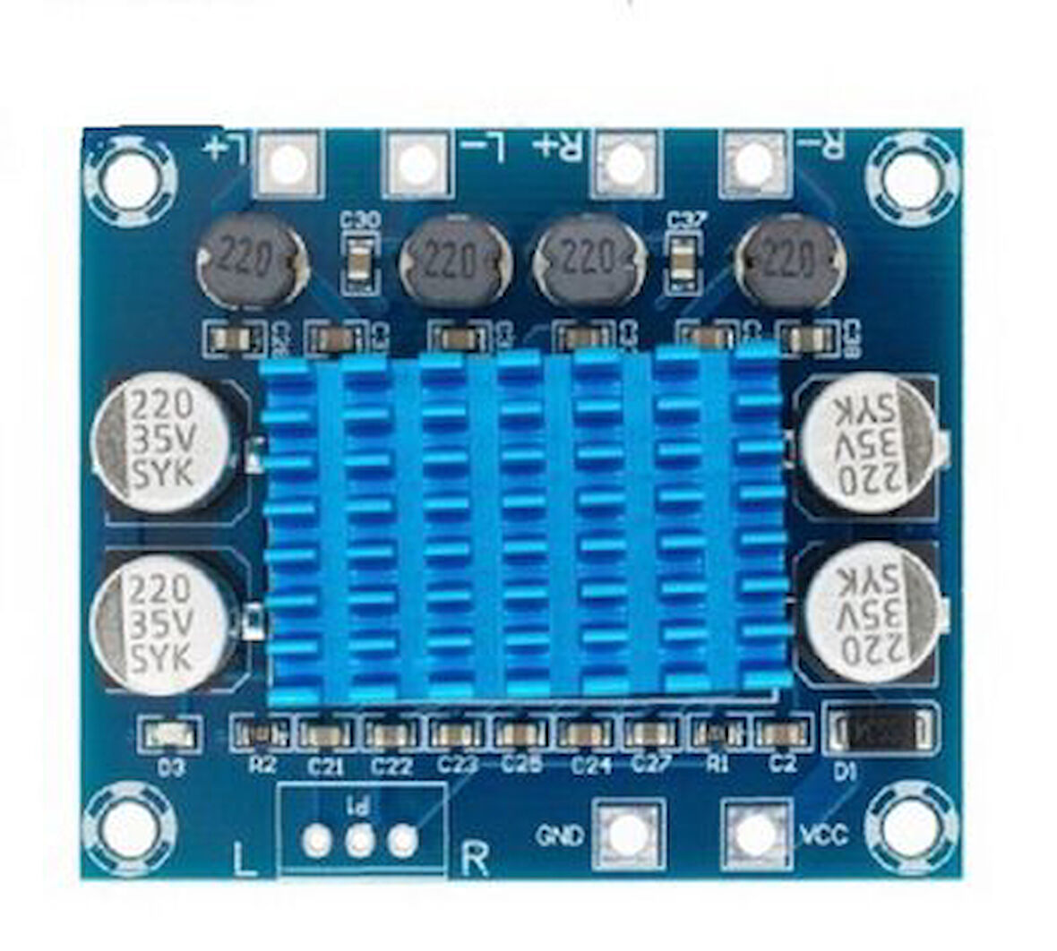 Diyotlab 2x30 Watt TPA3110 Çipli 8-26v Dijital Anfi