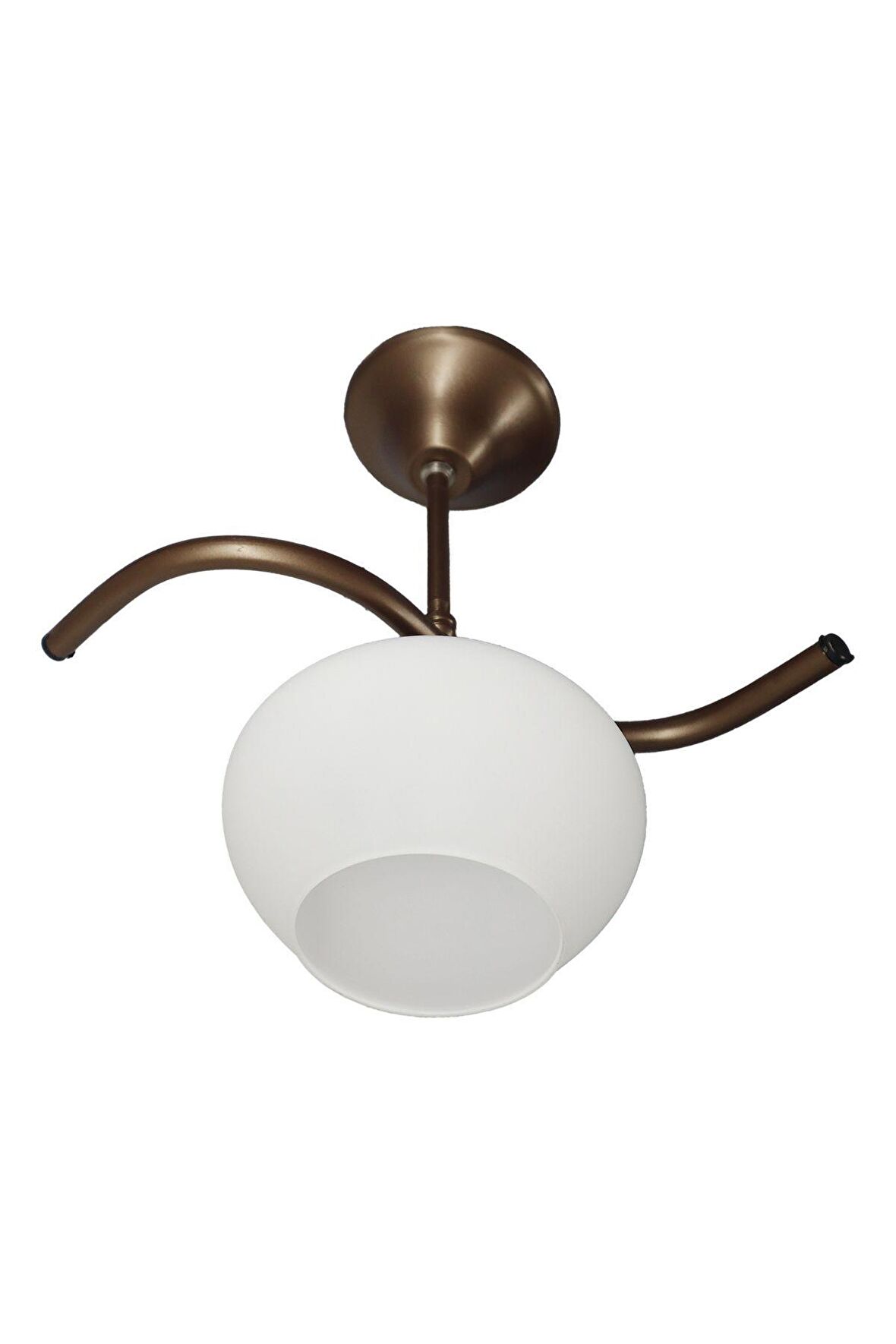 Fuji Bronz Tekli Beyaz Yatsı Camlı Avize | Kaliteli Modern Metal Avize