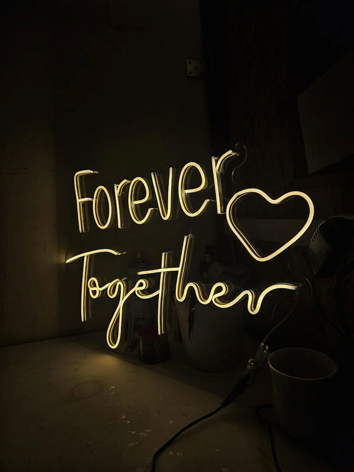 En Güzel Günde Forever Together Işıklı Neon Led Duvar Dekarasyon 45*60 cm