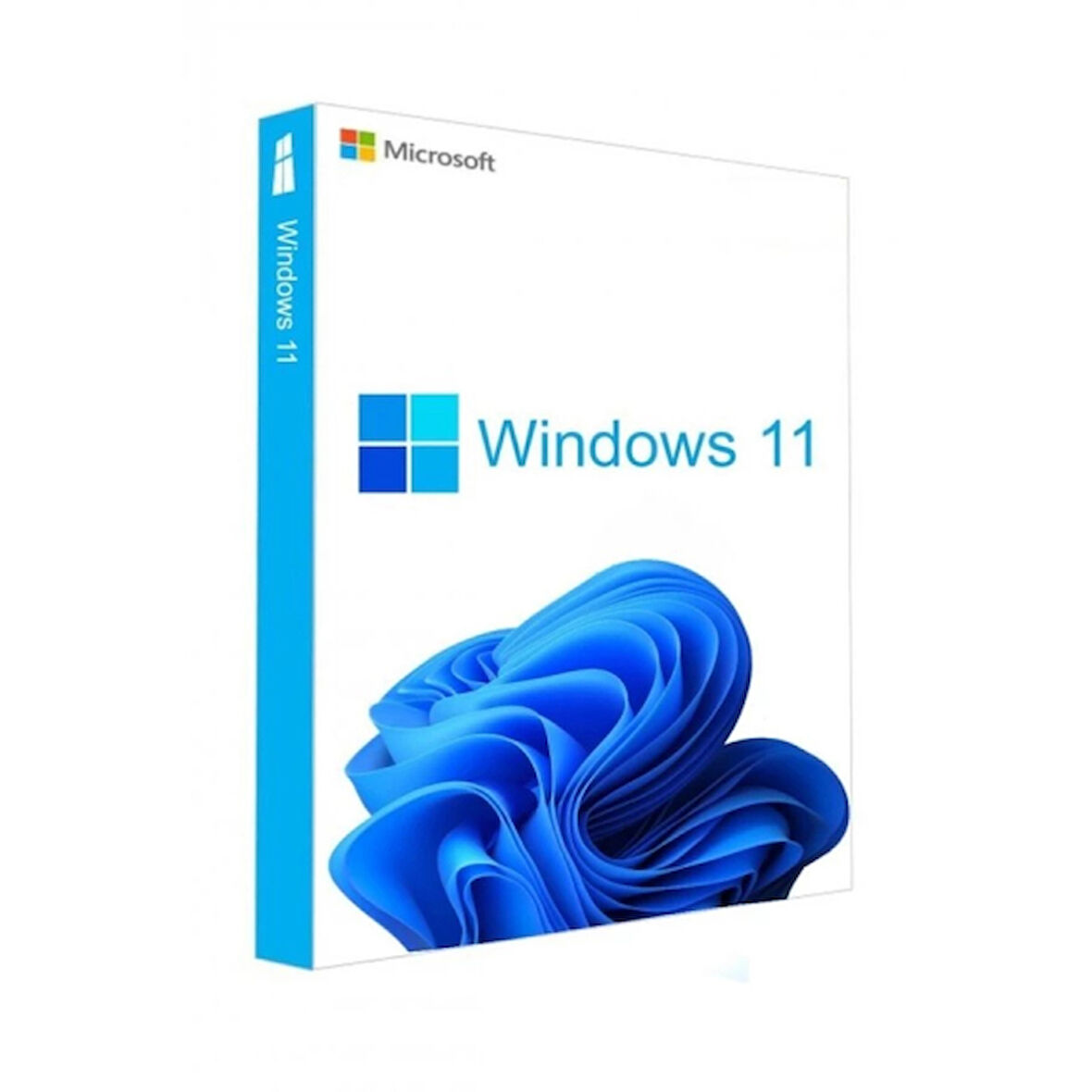 MICROSOFT Windows 11 Pro Lisans