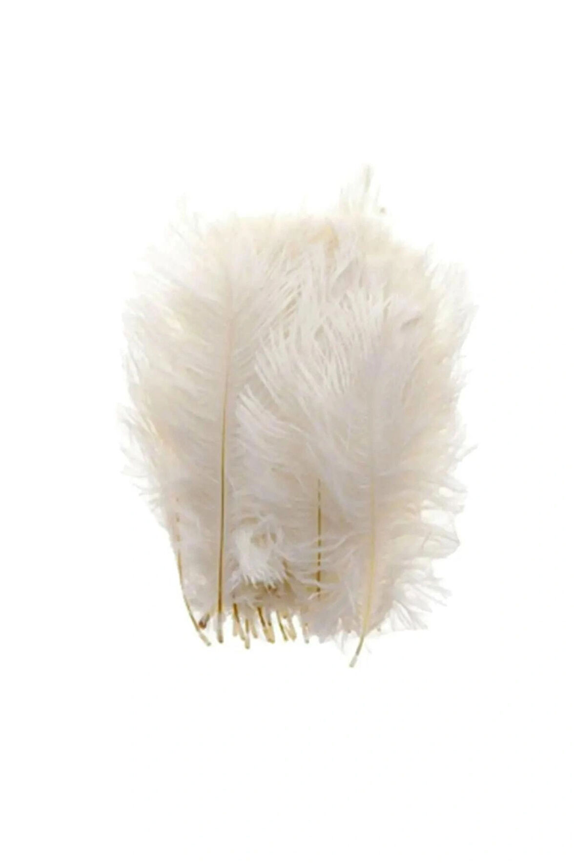 100 Adet Kuş Tüyü Nikah Şekeri Nişan Yelpaze Süsleme Malzemesi Krem