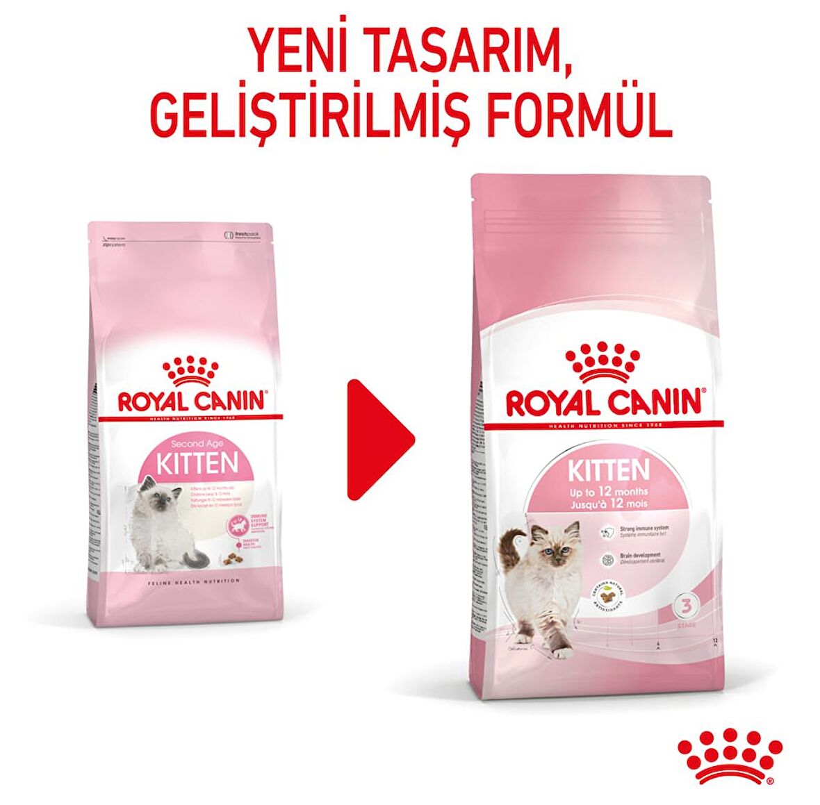 Royal Canin Kitten Yavru Kedi Maması 4 kg