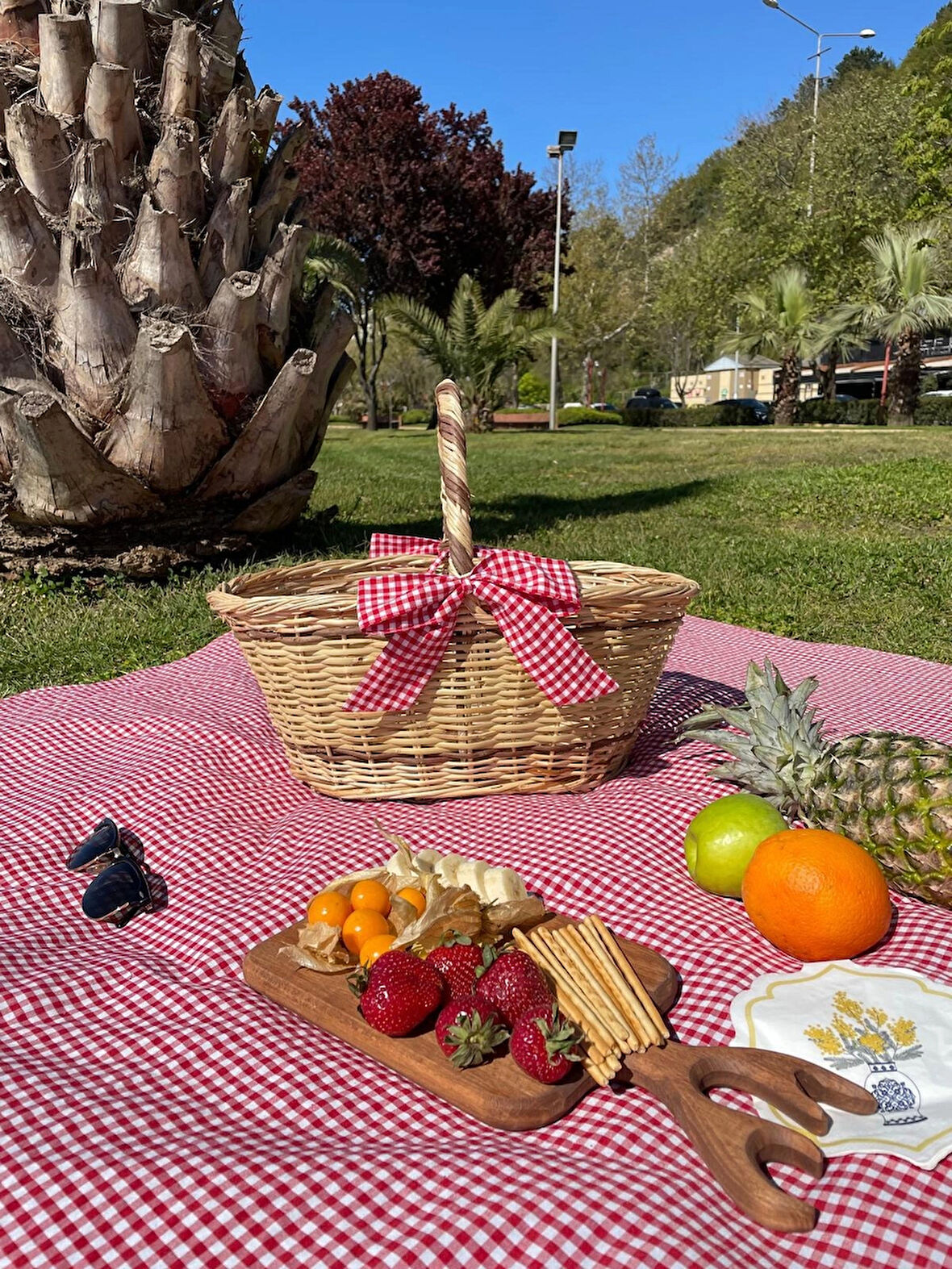 Beyaz Atölyem Çift Renkli  Fiyonklu Piknik Sepeti ve Sofra  Bezi Seti