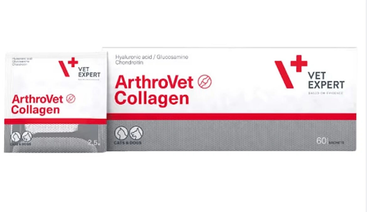 vet expert ArthroVet Collagen 60 Şase