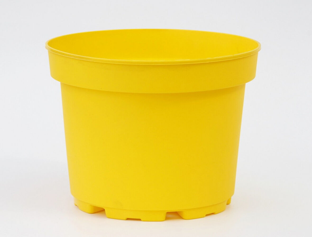 Sarı Saksı 1.5 LT 10 Adet