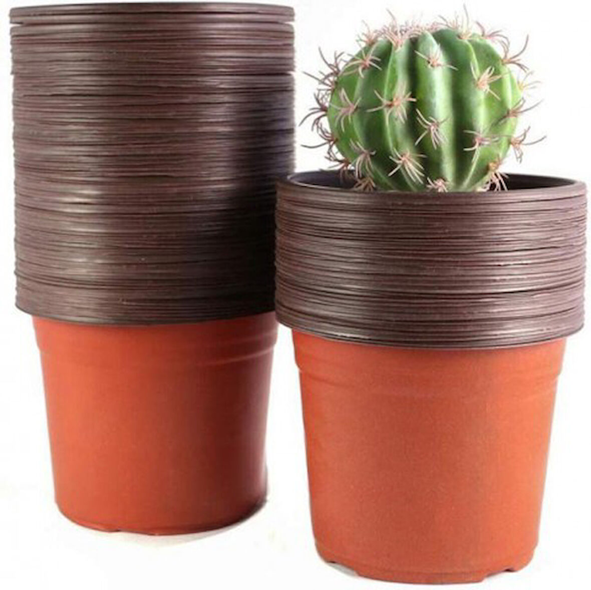 Thermoform Saksı 50 Adet 10.5 Cm
