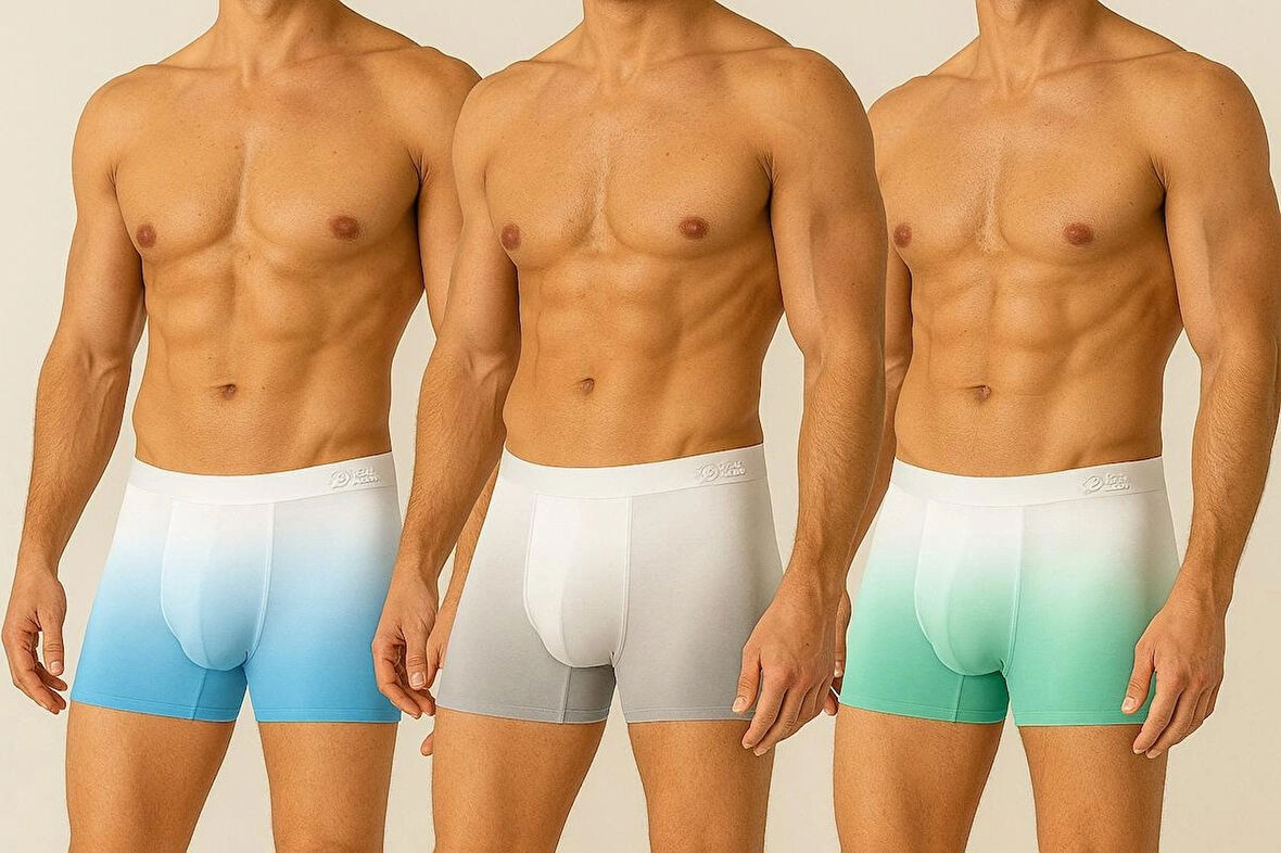 Dikişsiz Buz Ipek Ter Uzaklaştıran Spor Özel Tasarım Erkek Iç Giyim 3 Parça 1000 Boxer