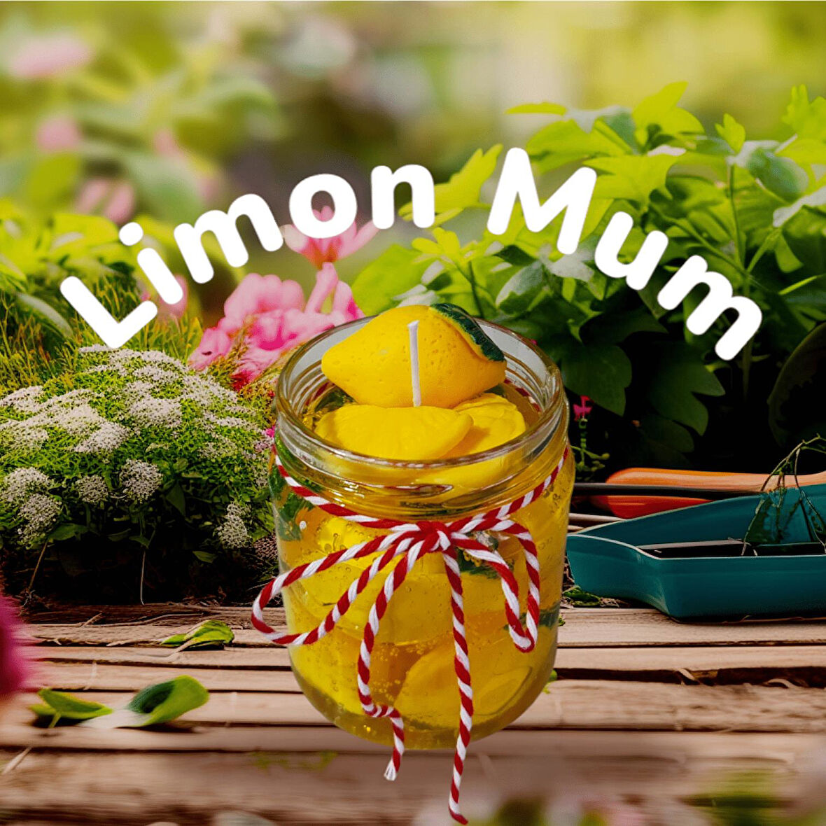 Limon Reçeli Nane Kokulu Dekoratif Mum (Doğal Soya Wax)