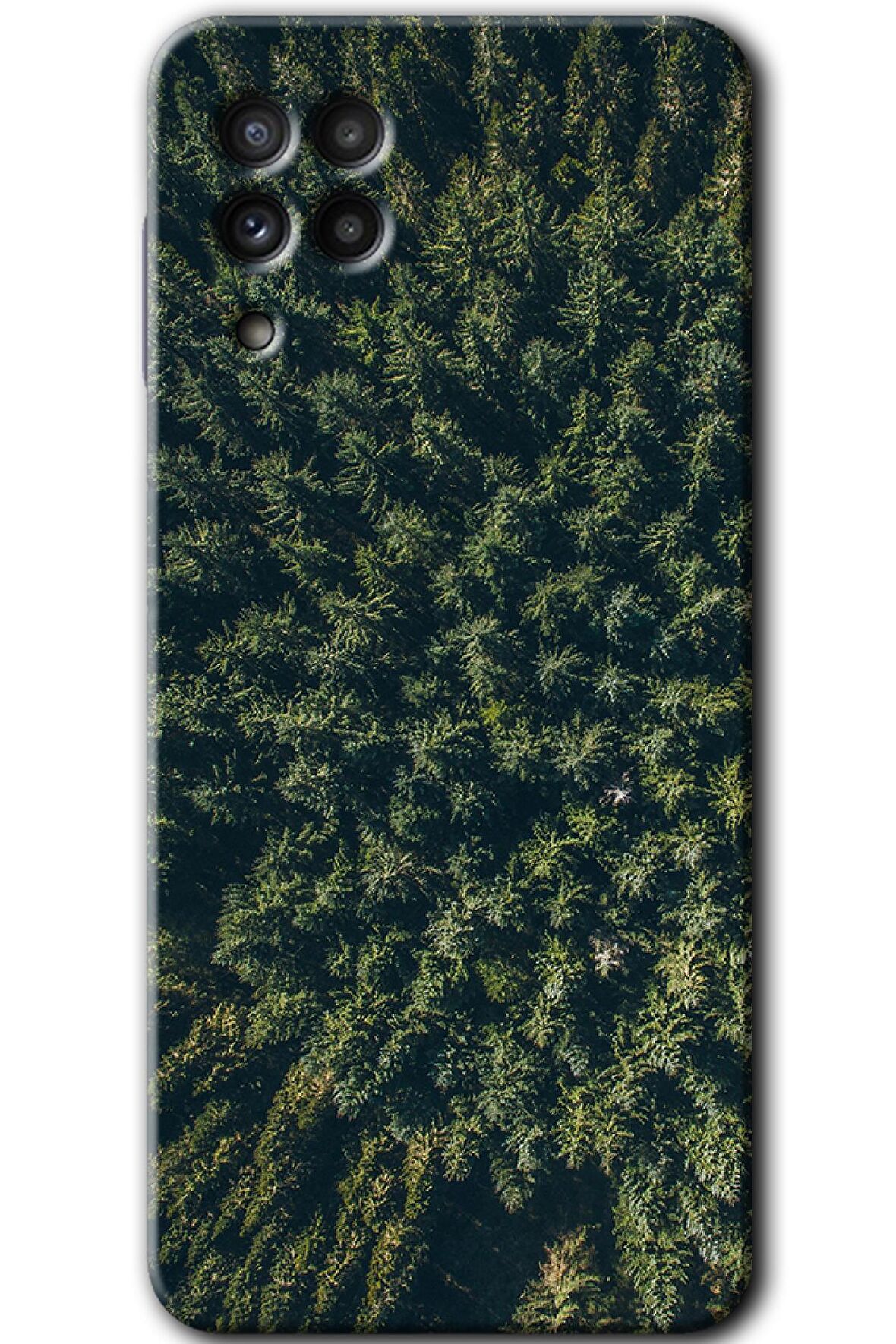 Galaxy M32 Kılıf HD Desen Baskılı Arka Kapak - Çam Ağacı Ormanı 