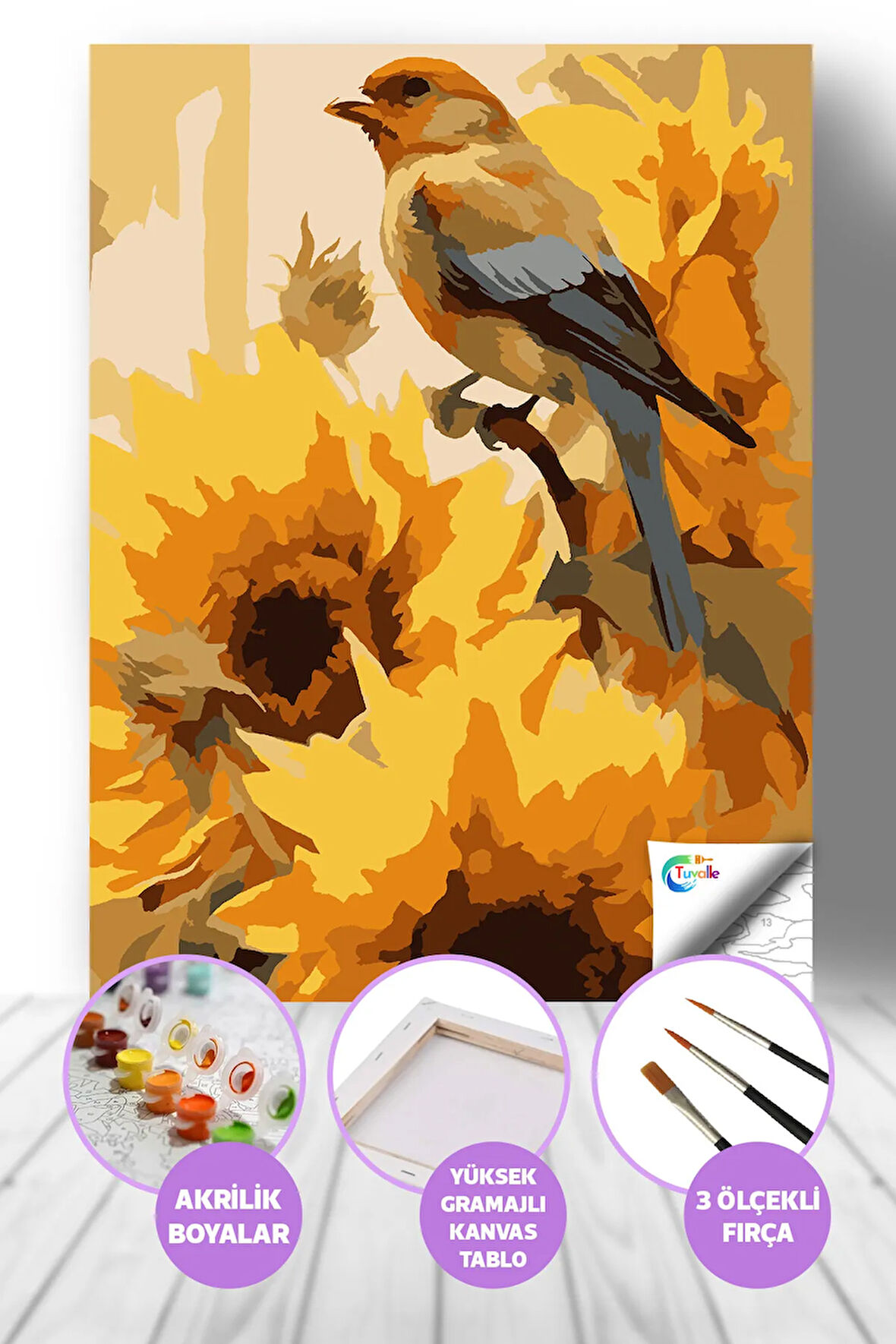 Güneşin Kuşu Sayılarla Boyama Seti, Hobi Seti, 40X50 Tablo, Fırça Boya, Numaralı Tuval