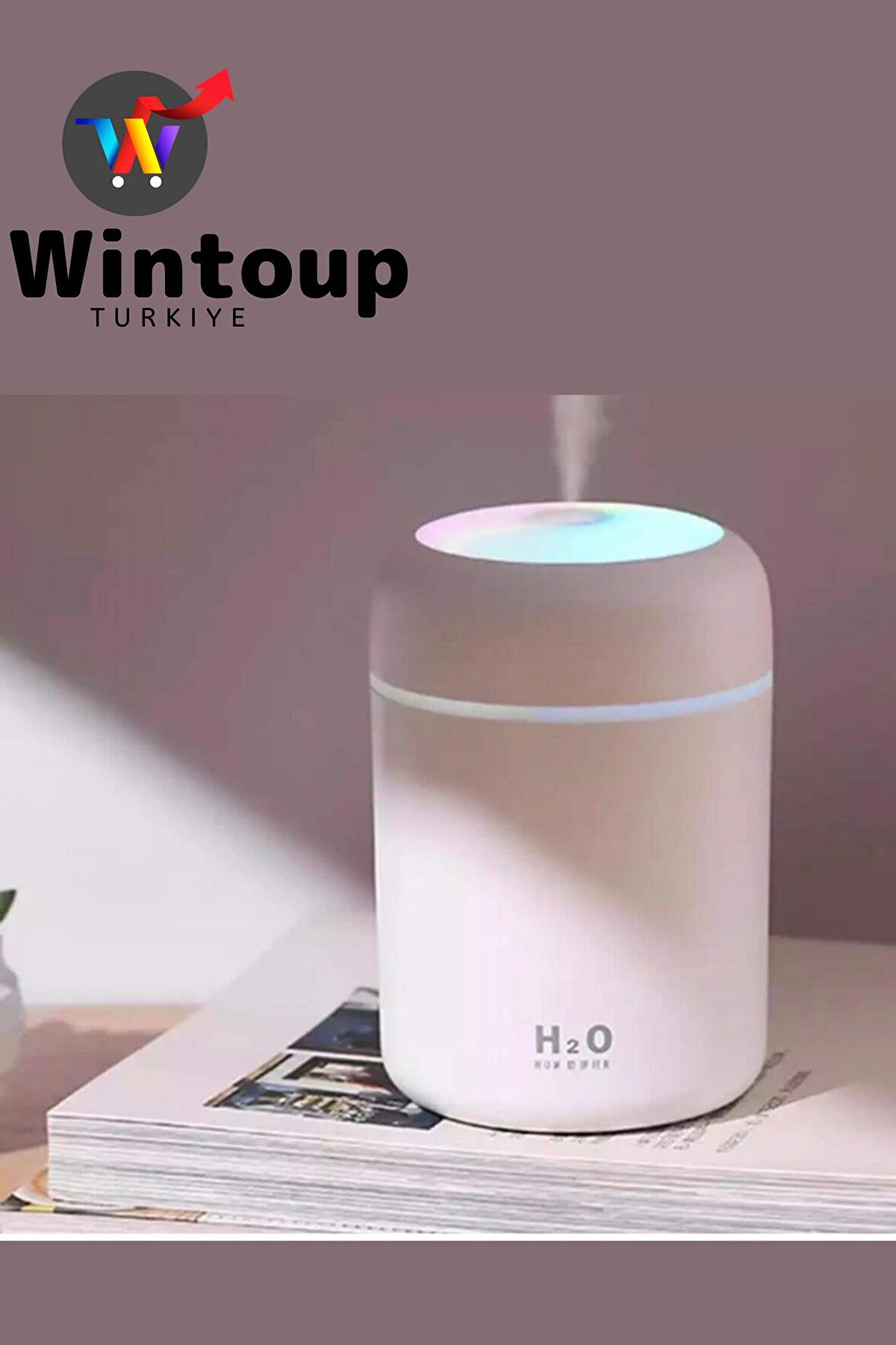 H2O Humidifier Oda Araç Aroma Difüzörü Buhar Makinesi Işıklı Hava Nemlendirici