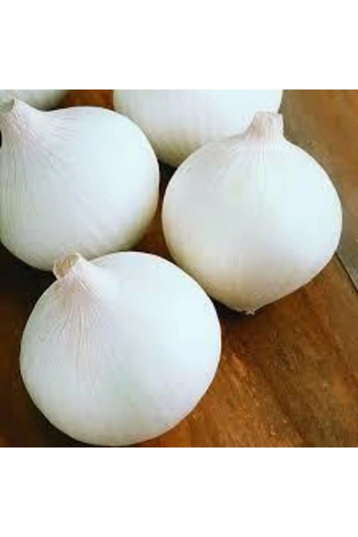 50 Adet Tohum Nadir Bulunan Beyaz Kışlık Kuru Soğan Tohumu Kuru Beyaz Soğan