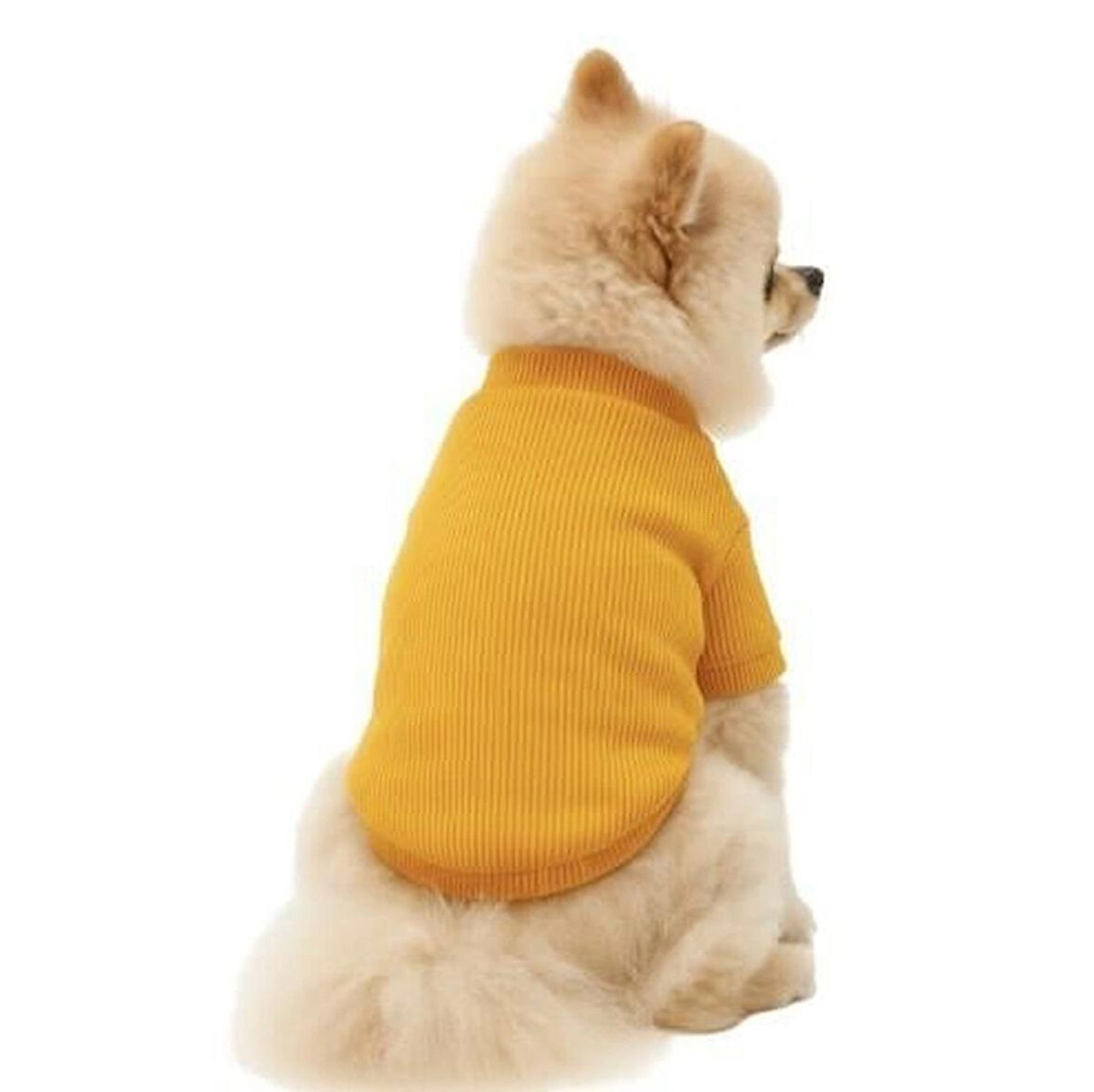 Gedyco Hardal Küçük Irk Köpek Likralı Triko