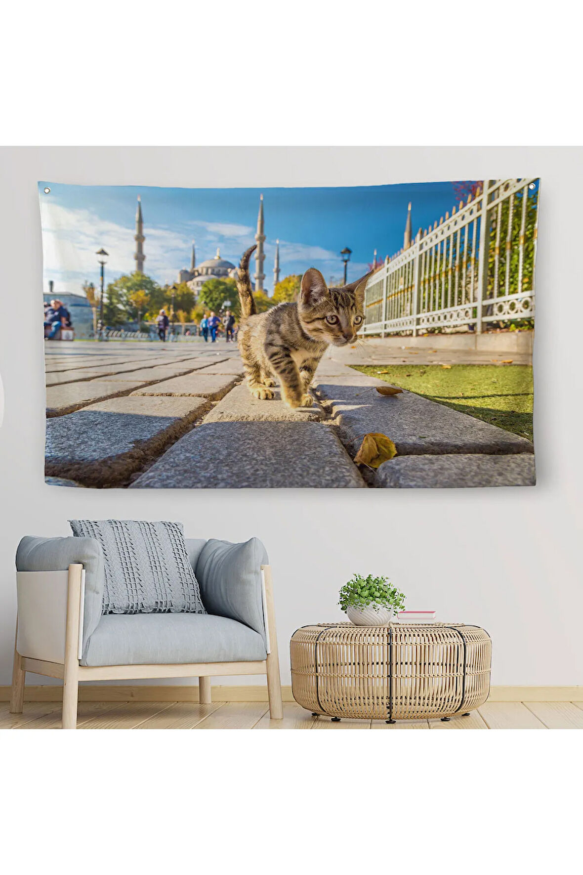 Sultan Ahmet Camii Önündeki Yavru Kedi Duvar Örtüsü-Halısı-6507