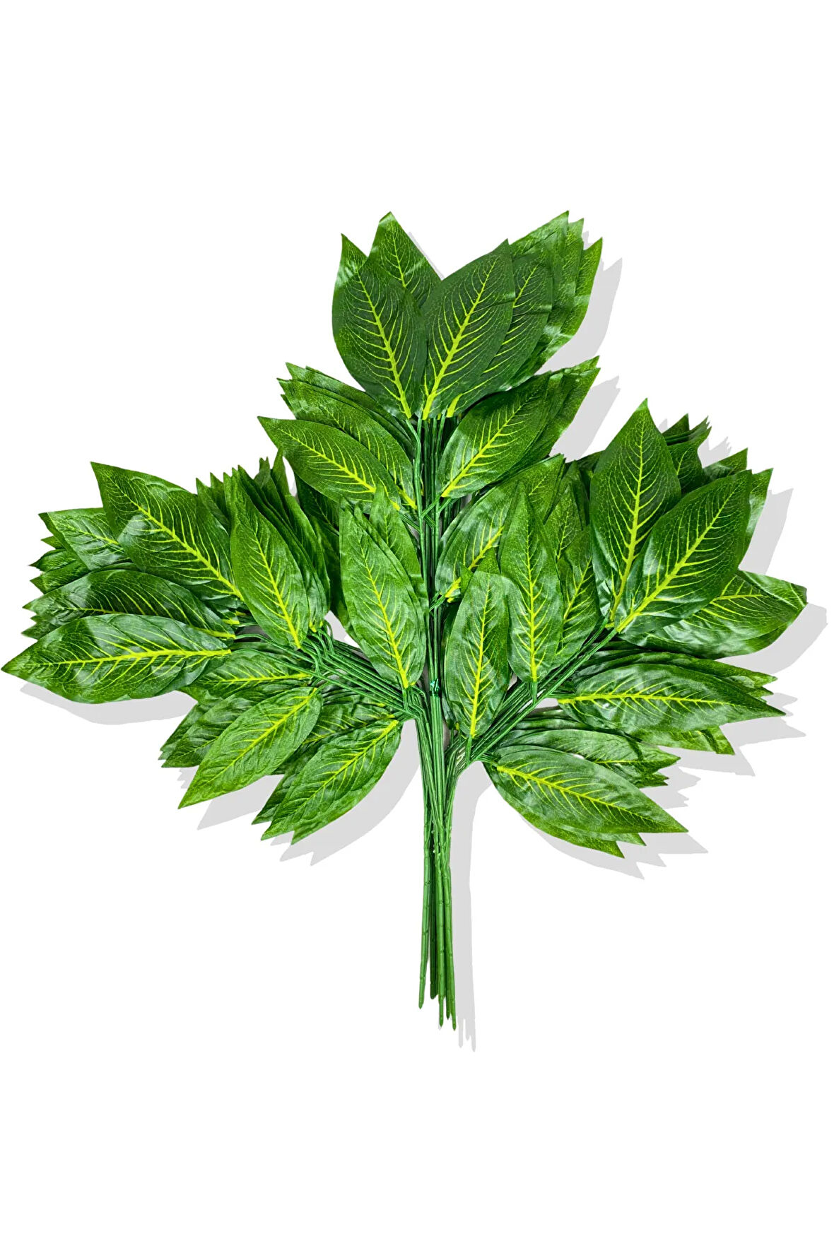 Sarı Mineli Yeşil Ceviz Demet 12 Adet 70 Cm