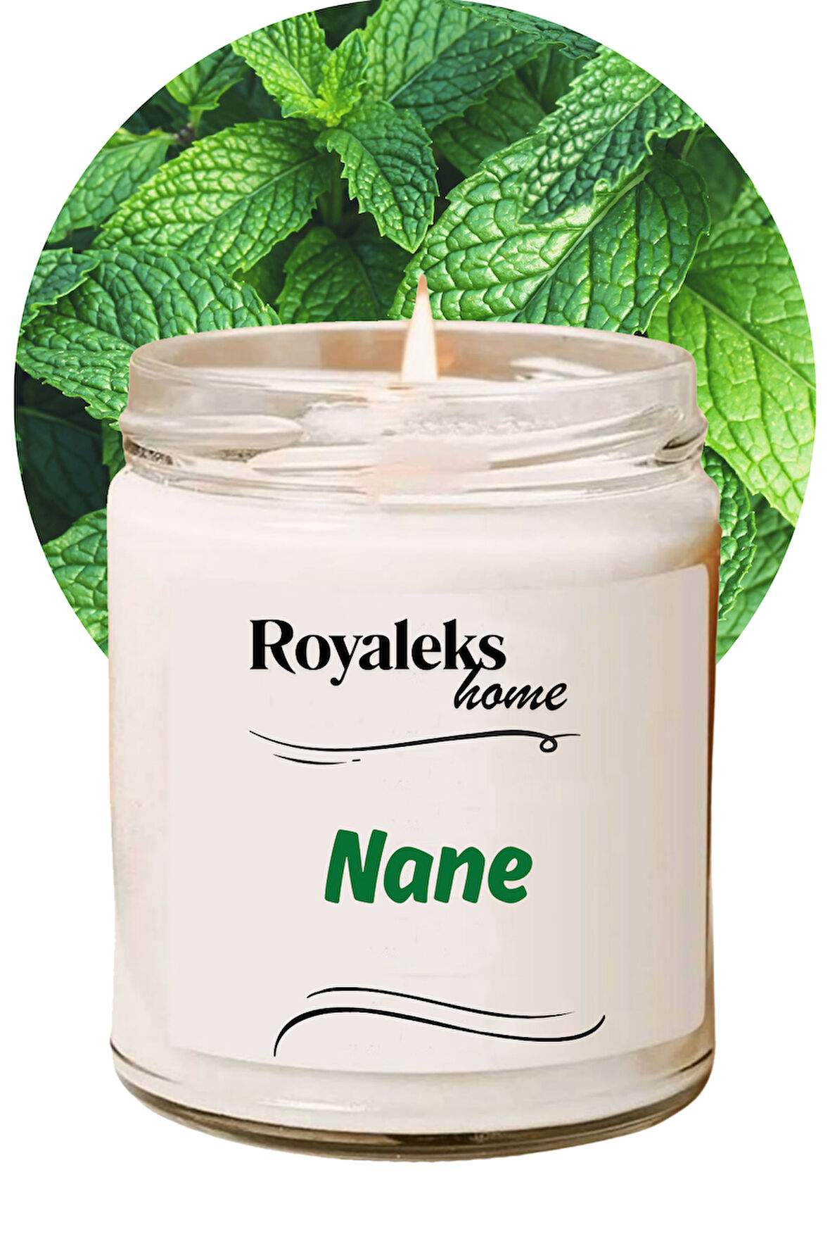 Doğal Özel Seri Kokulu Dekoratif Kavanoz Mum 210 cc - Nane Esansı - RYL