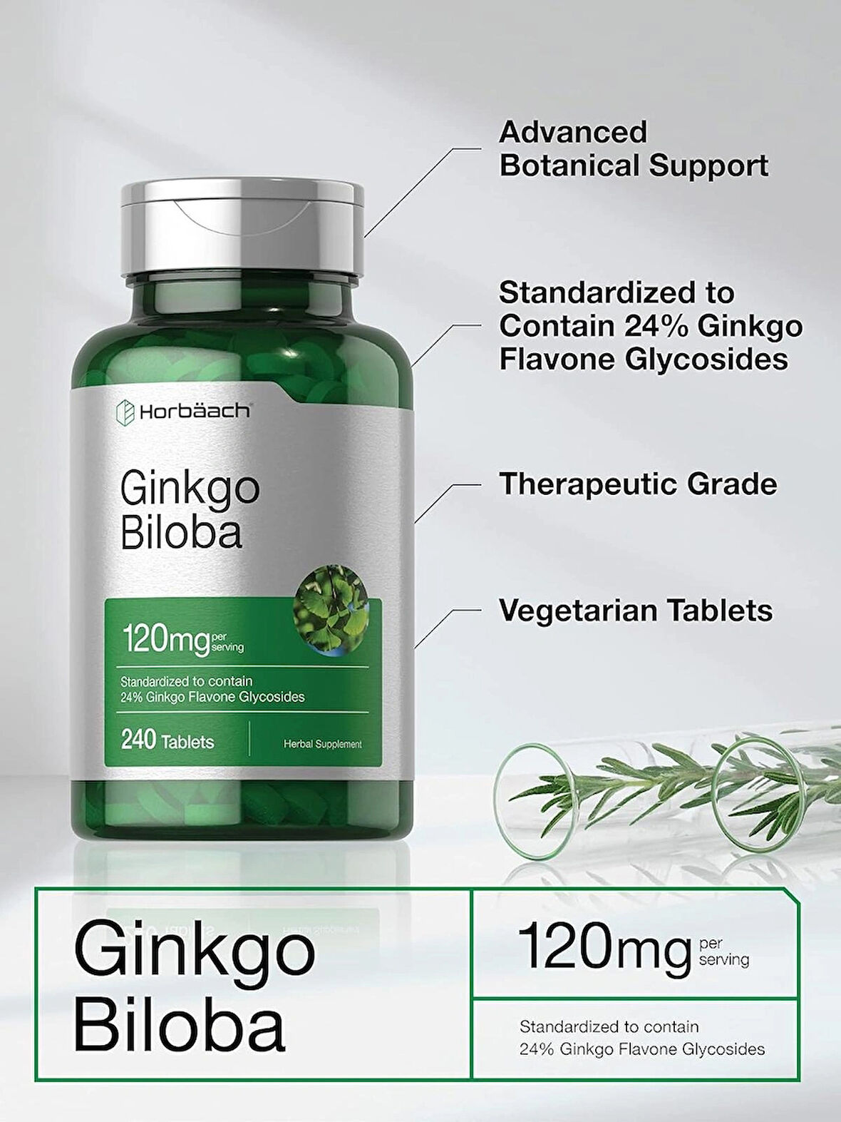 Horbaach Ginkgo Biloba Mabet ağacı ekstrat 120mg 240 Tablet Flavone Glycoside Vegetarian Gluten Free